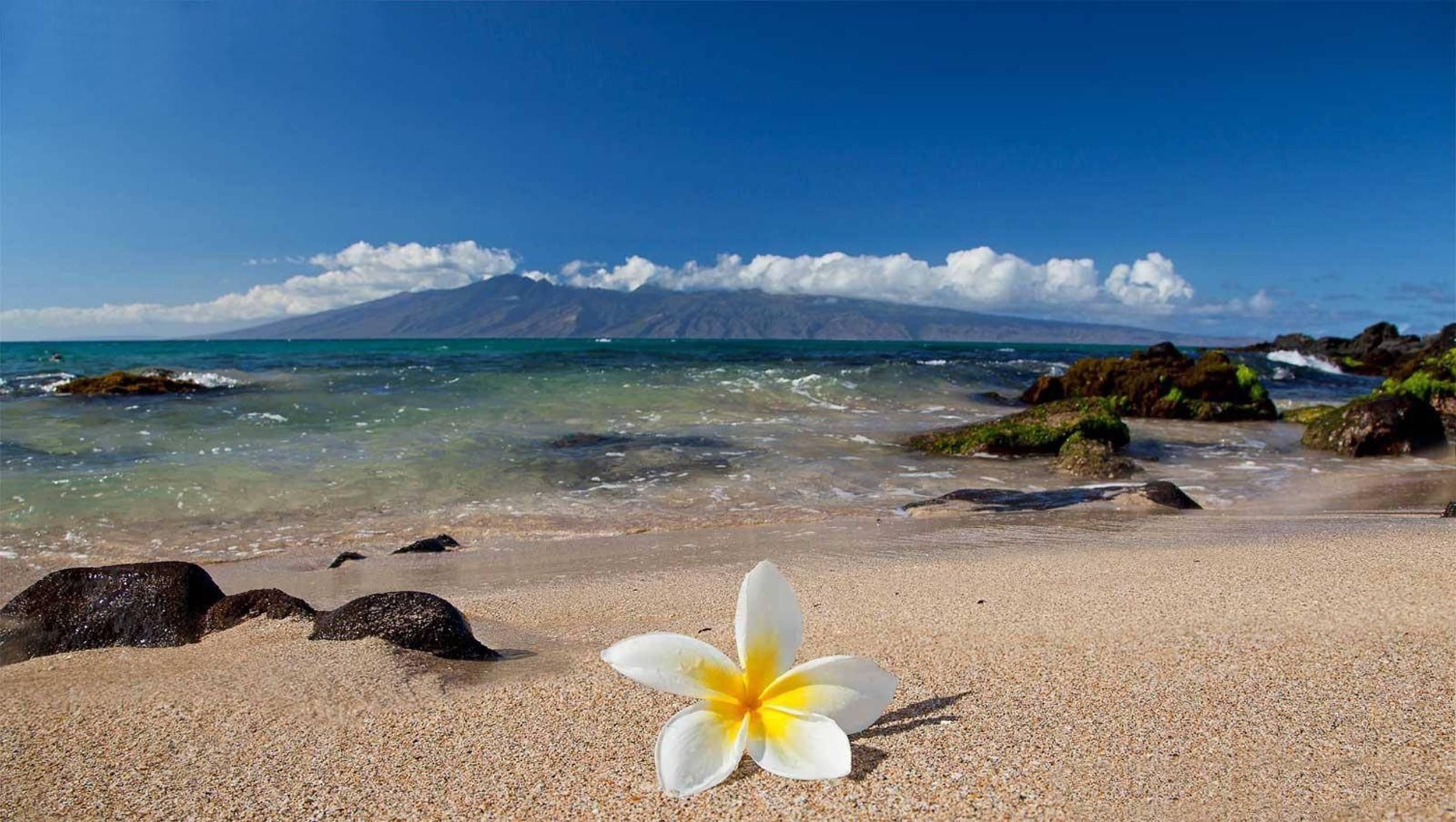 Hawaiian beaches, Stunning ocean views, Beach wallpapers, 2500x1420 HD Desktop