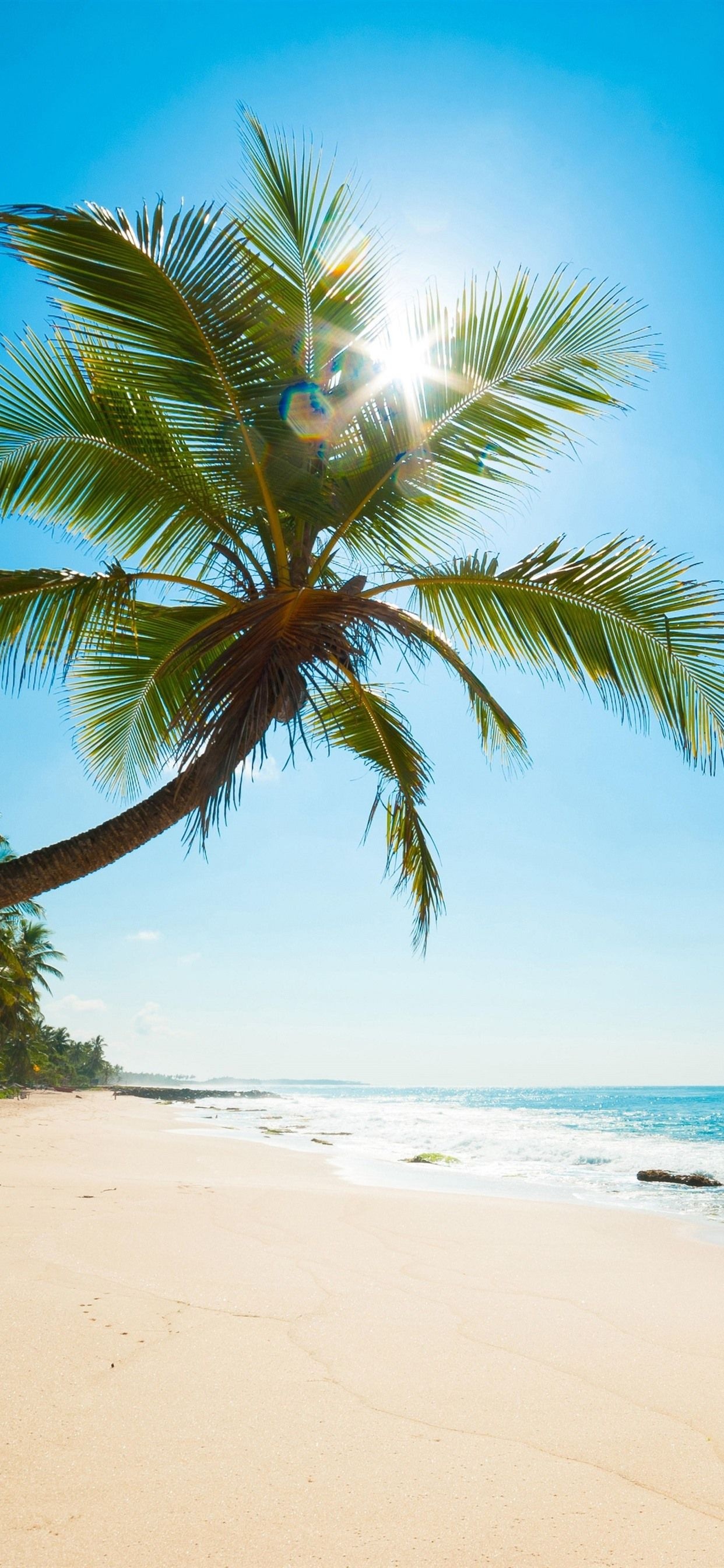 Caribbean beach iPhone wallpapers, Tropical paradise, Beach scenes, Phone personalization, 1250x2690 HD Handy