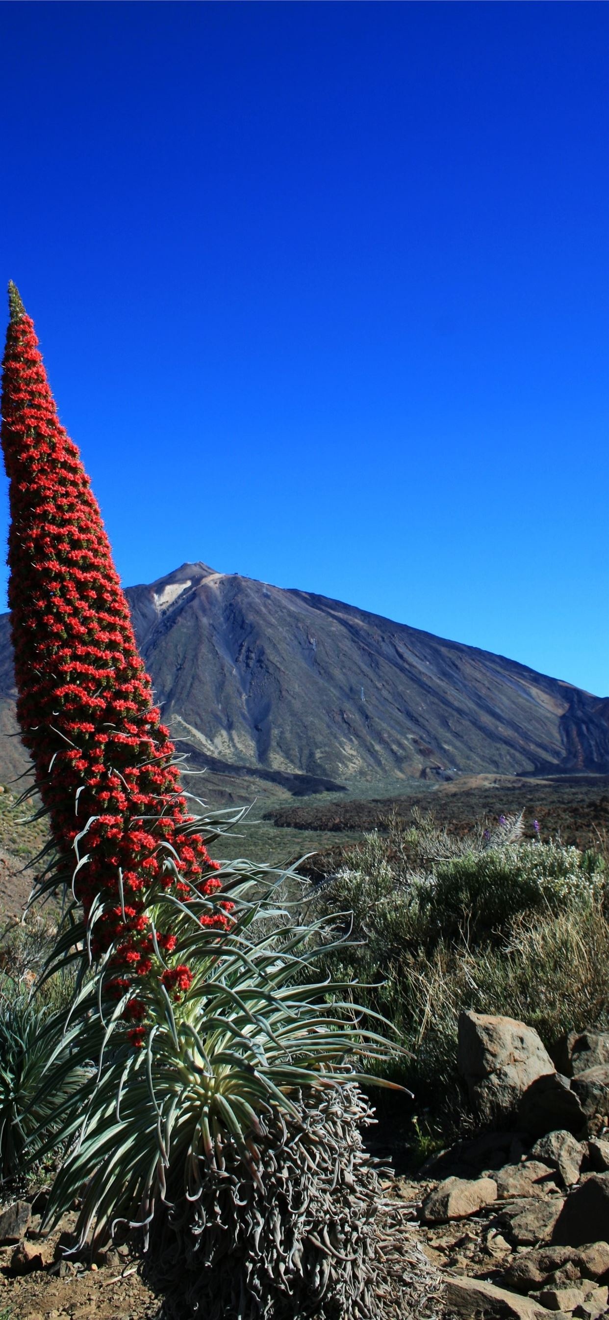 Teide National Park, Hawaii volcanoes national park, iPhone wallpapers, Scenic beauty, 1250x2690 HD Handy