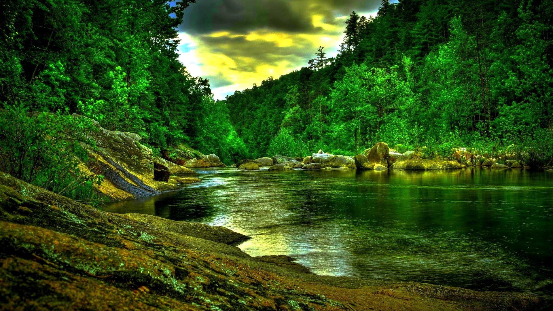Go Green: Forest river, A clean and green environment, The beauty of nature. 1920x1080 Full HD Wallpaper.