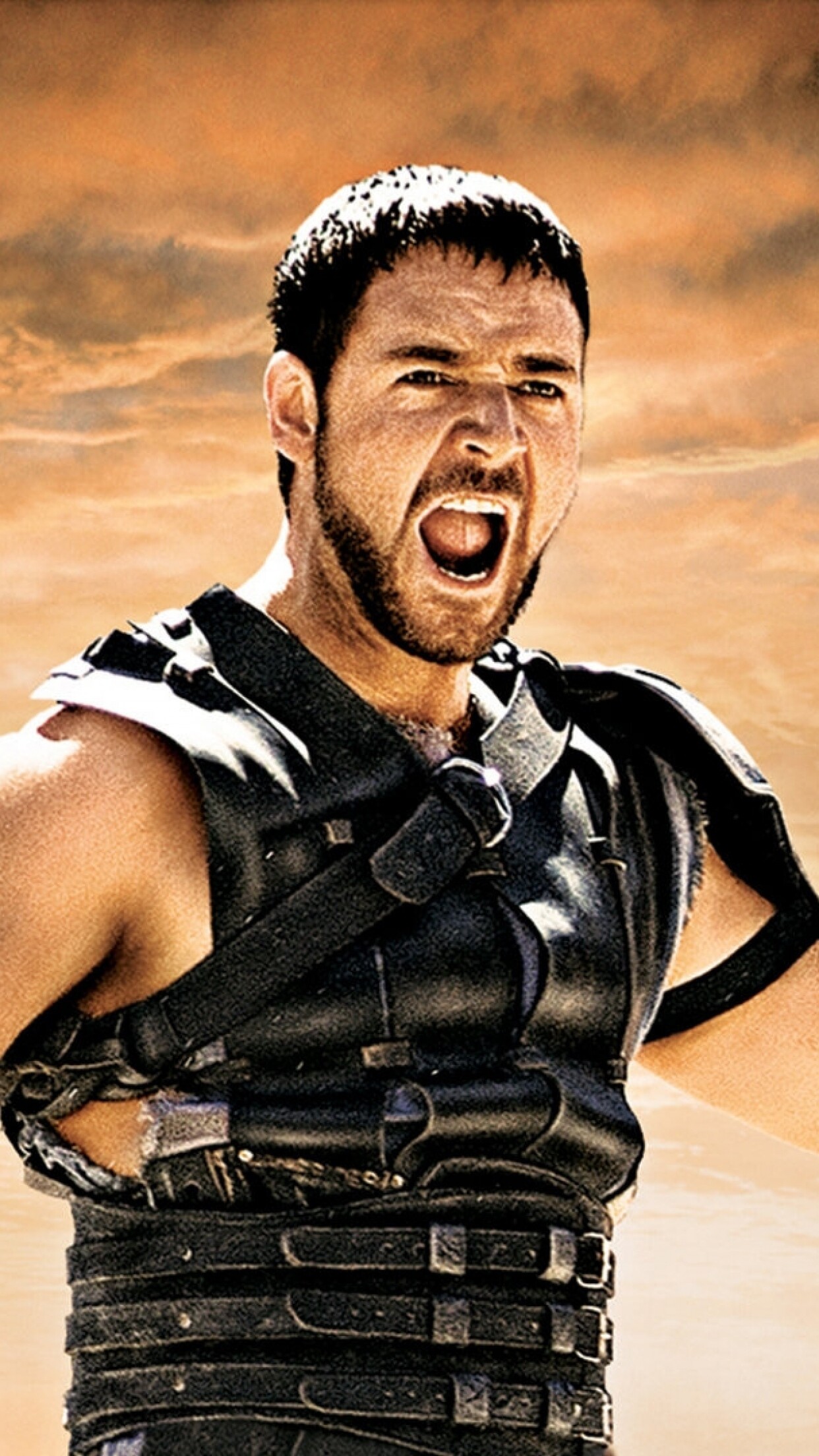 Gladiator: The film won five Academy Awards at the 73rd Academy Awards, including Best Picture and Best Actor for Crowe. 1250x2210 HD Wallpaper.