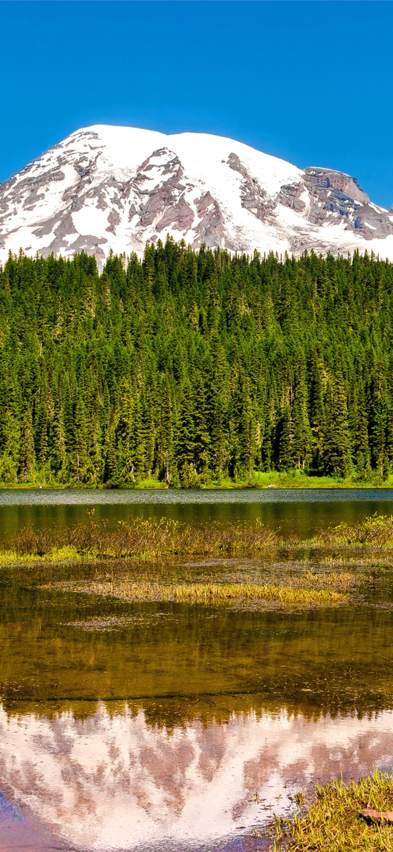 Mount Rainier National Park, iPhone wallpapers, Free download, 1290x2780 HD Handy