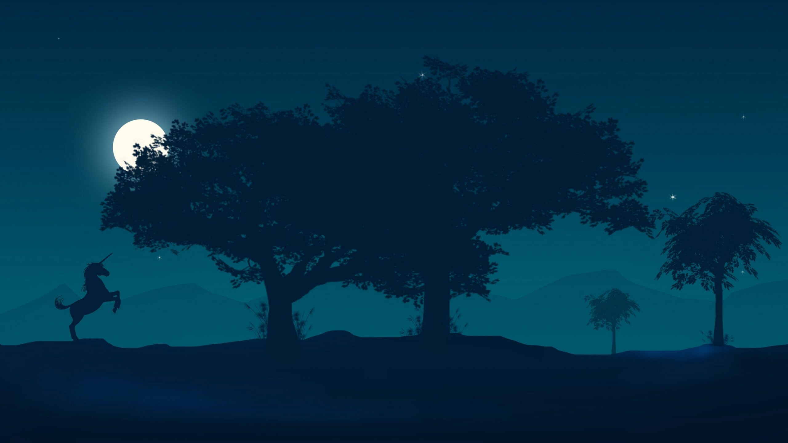 Moonlight: Moon, Night, The period of darkness between sunset and sunrise. 2560x1440 HD Wallpaper.