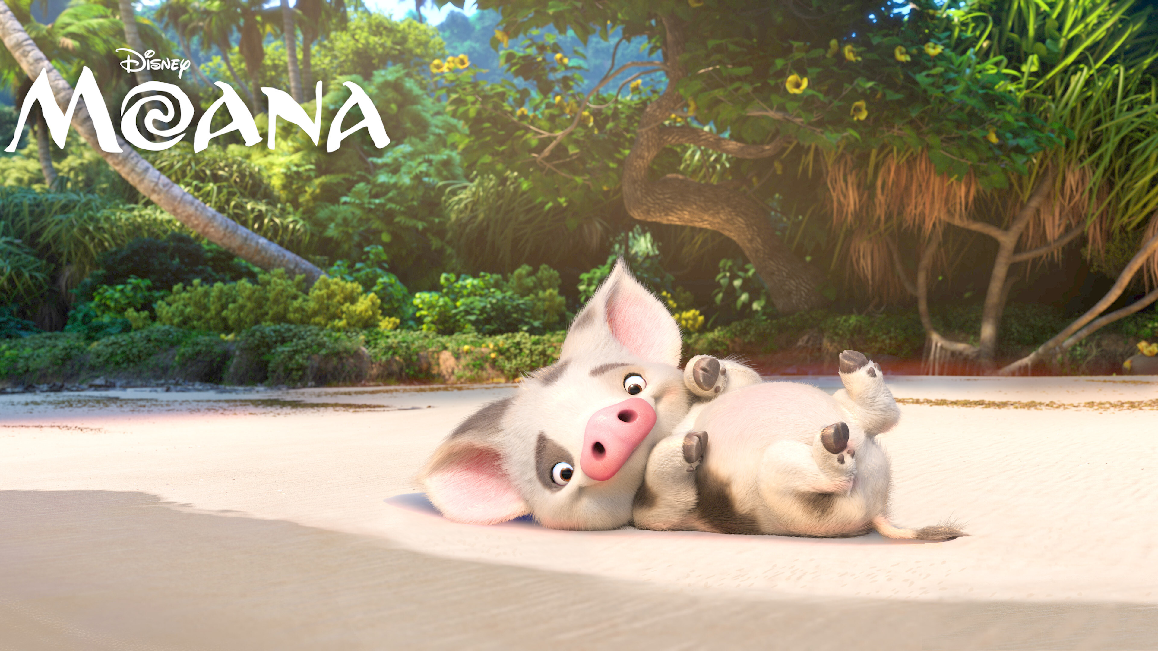Moana: Pua, Moana's pot-belly pet pig and best friend. 3840x2160 4K Background.