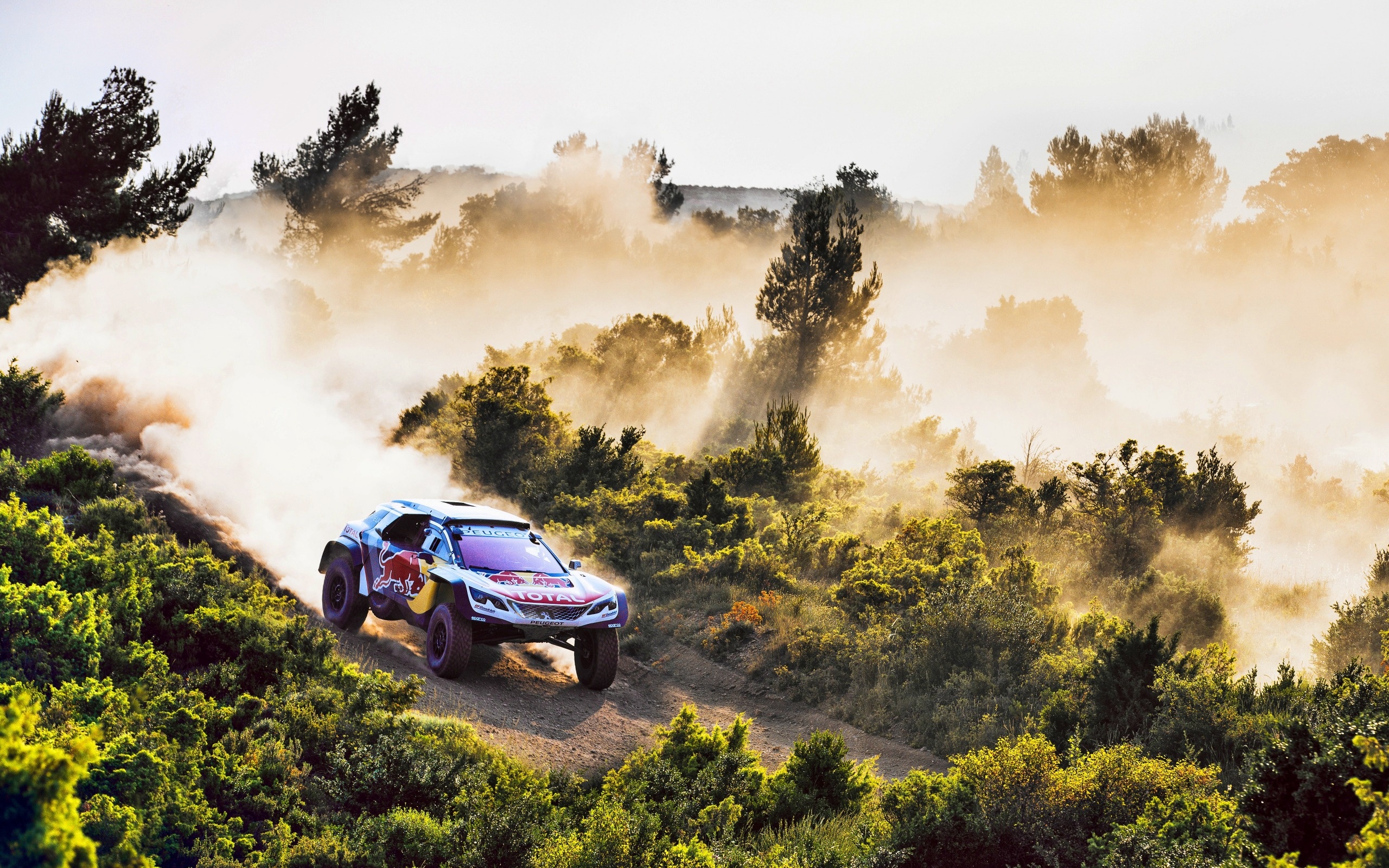 Peugeot 3008, Dakar Rally 2018, Dune buggy, Rally car, 2560x1600 HD Desktop