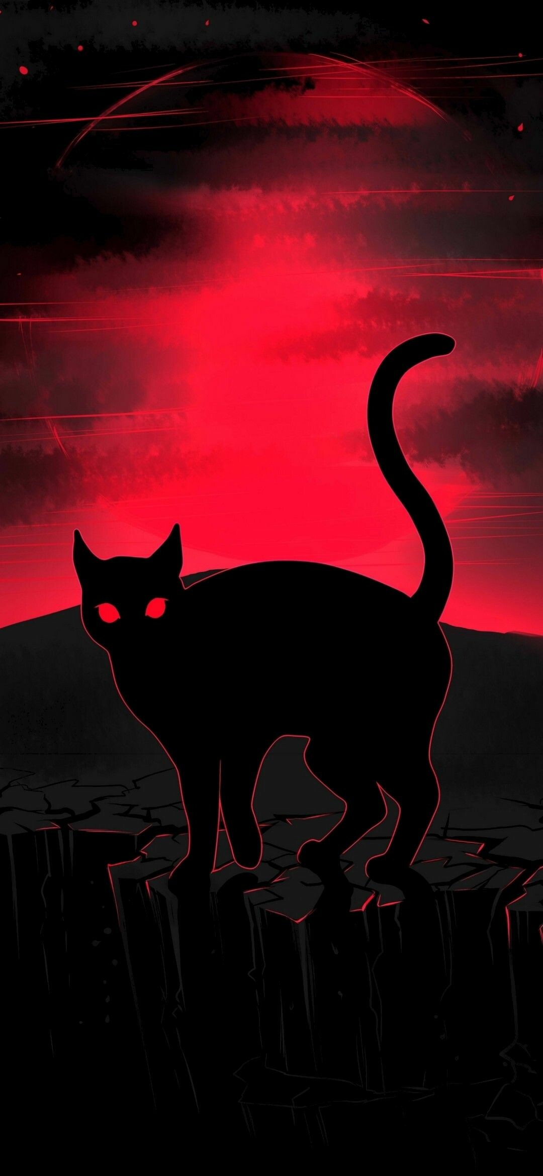 Black cat, Amoled wallpaper, 1080x2340 HD Phone