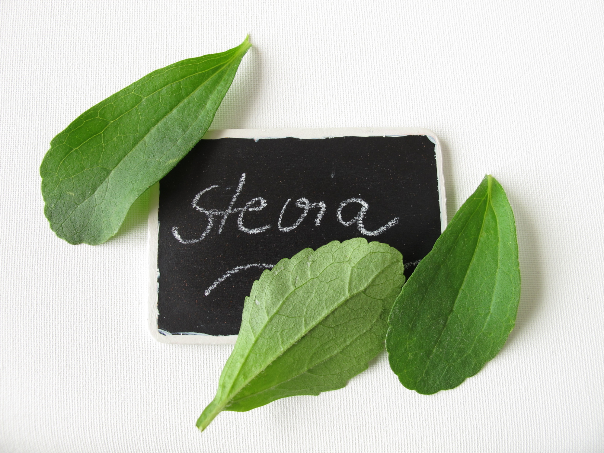Stevia, Side effects, Truvia, Stevia plant, 2010x1510 HD Desktop