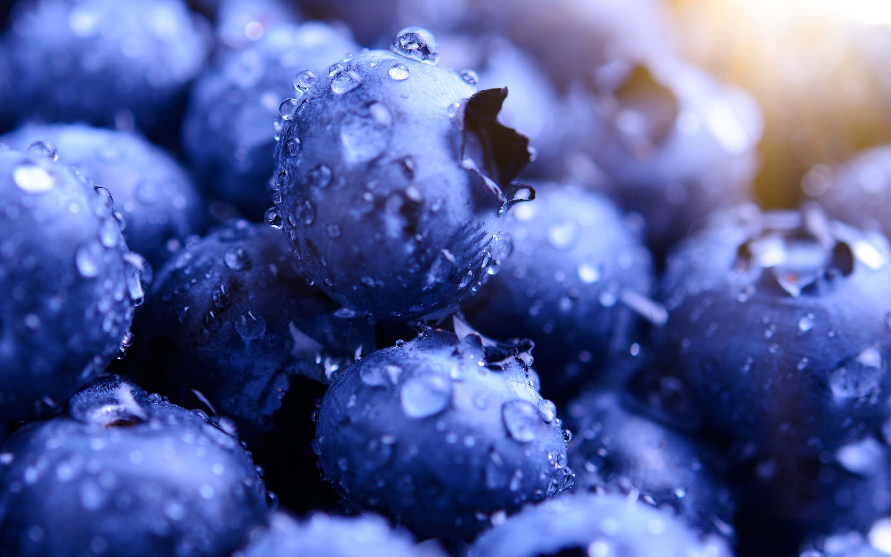 Blueberry-themed desktop, Vibrant wallpaper, Fresh blueberries, Nature-inspired design, 2880x1800 HD Desktop