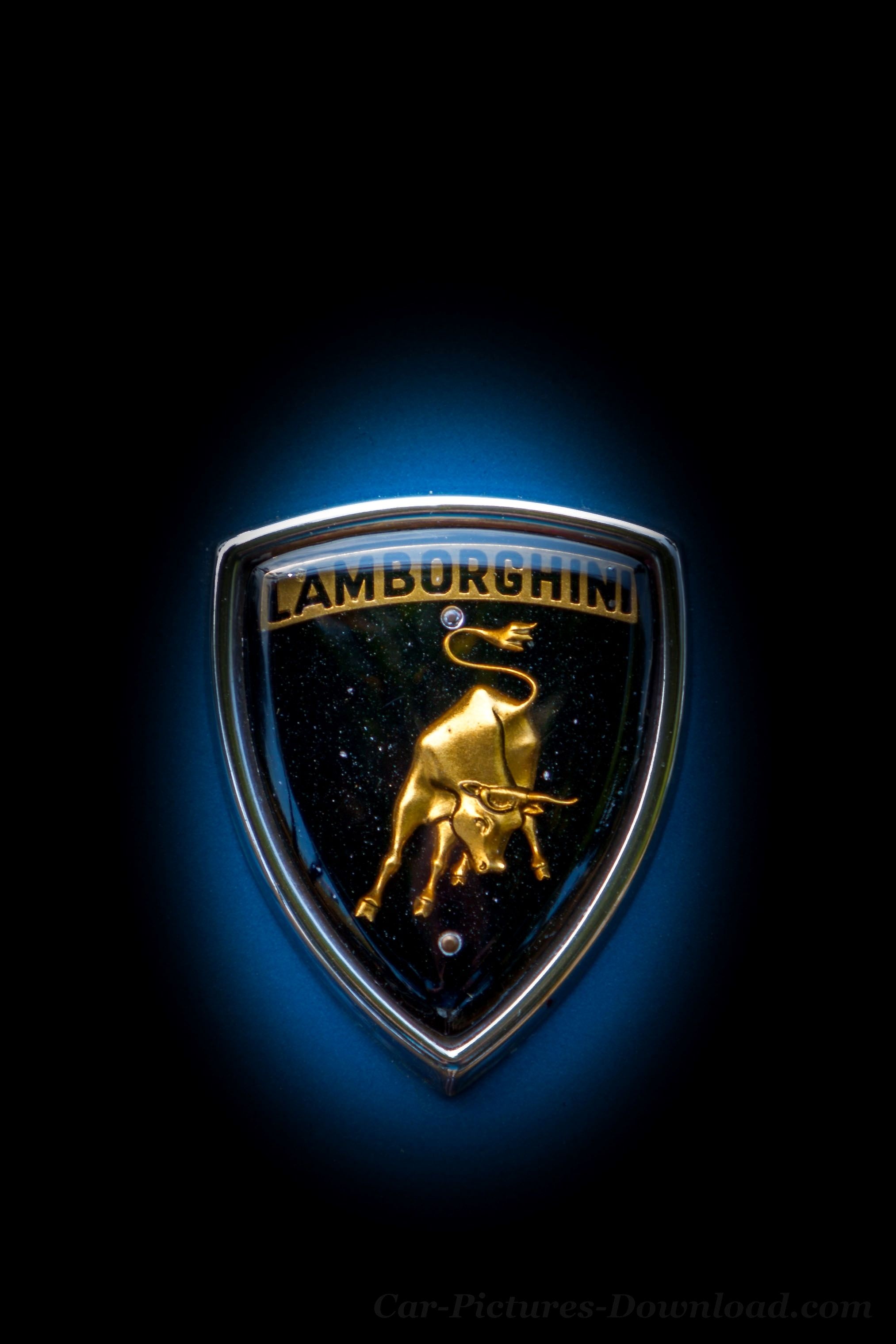 Lamborghini Logo, 4K wallpaper, Lamborghini cars, Impressive visual, 2030x3040 HD Phone
