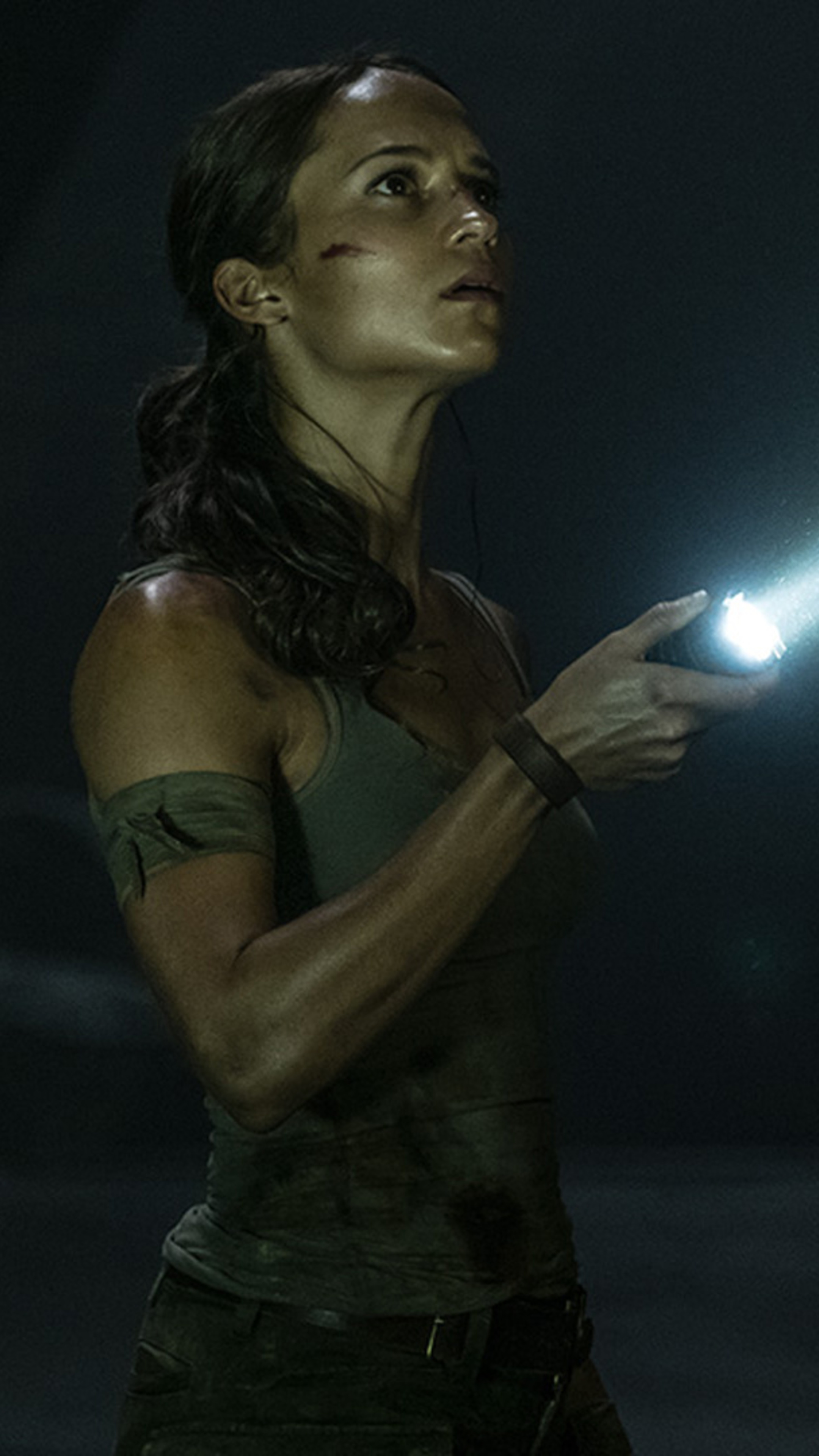 Tomb Raider: Portrayed by Swedish actress Alicia Vikander. 2160x3840 4K Background.