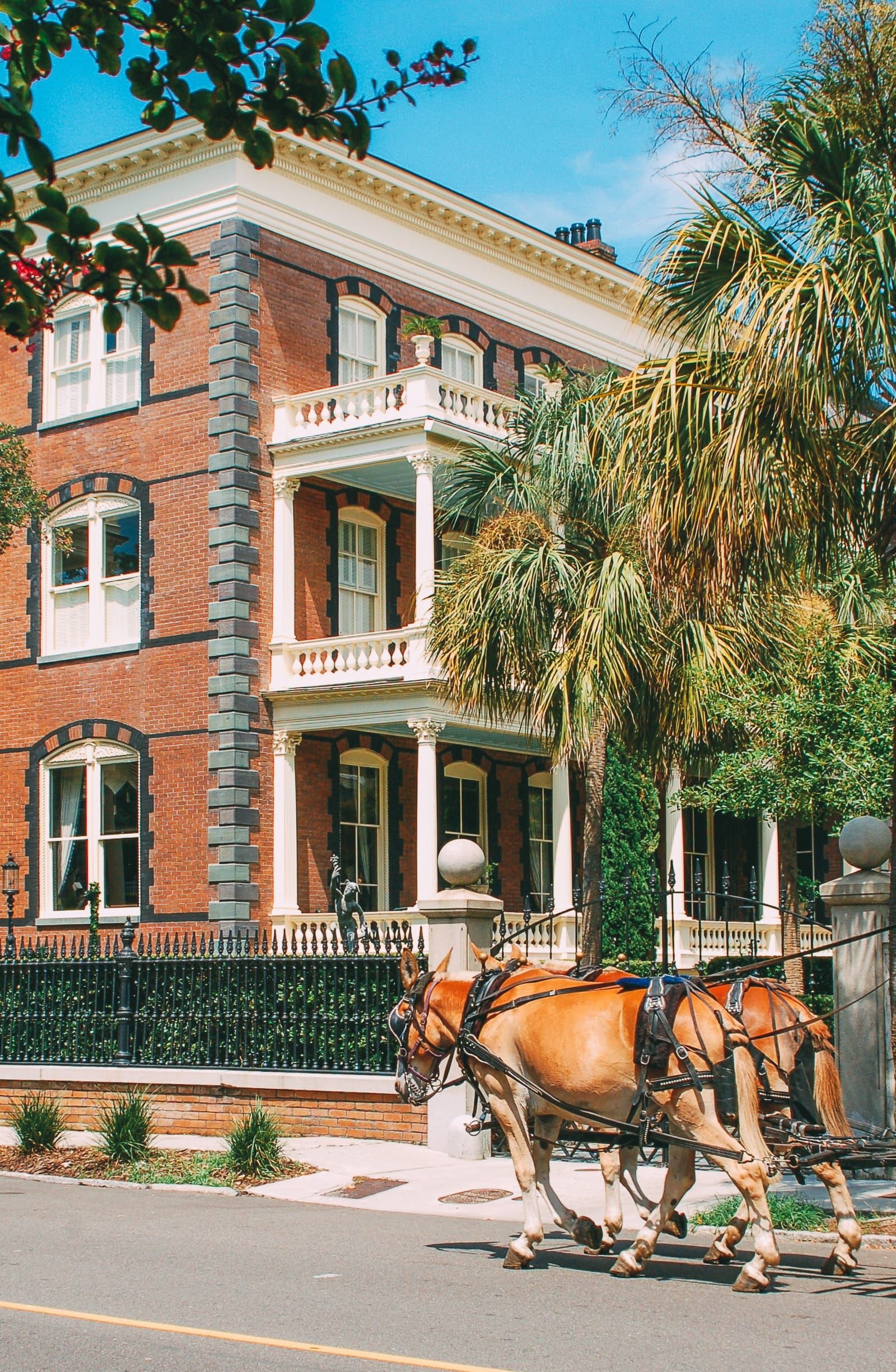 Charleston Travels, Things to Do, Beautiful Places, 1600x2450 HD Handy