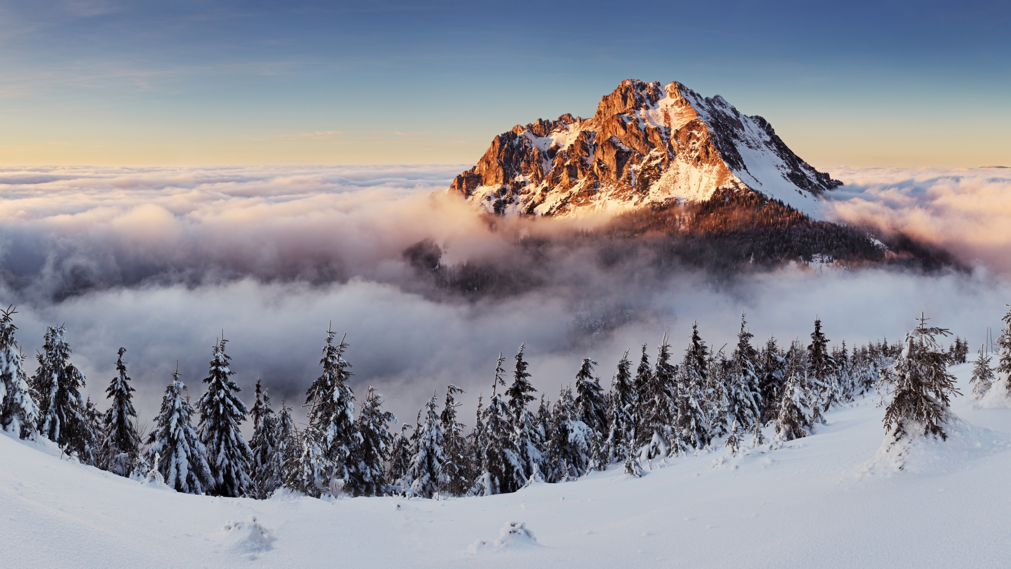 Snowy Slovakia, 4k mountain wallpaper, Mist and pines, Winter wonderland, 3840x2160 4K Desktop