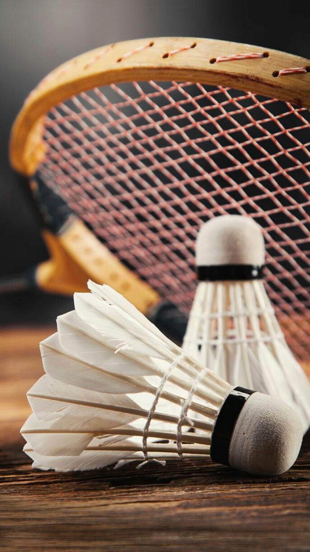 Free badminton wallpapers, Sporting excellence, Athletes in action, Inspiring images, 1080x1920 Full HD Phone