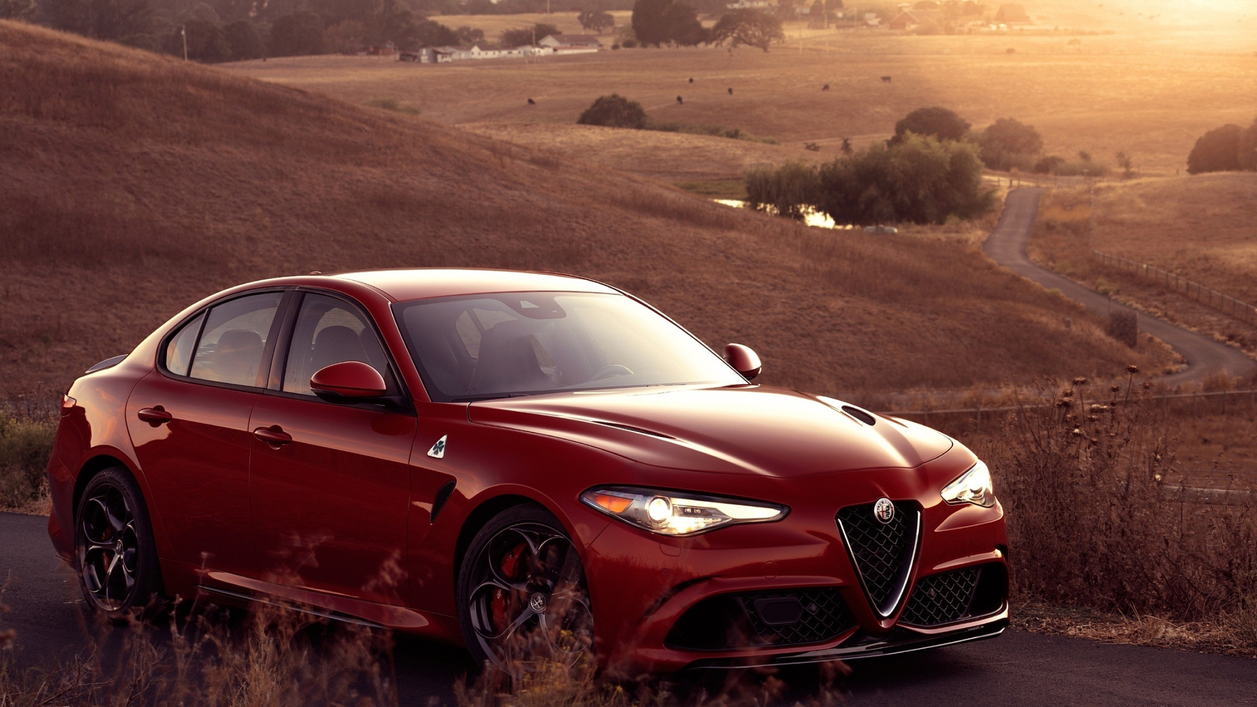 Alfa Romeo HD, HD wallpapers, High-performance, Italian elegance, 2560x1440 HD Desktop