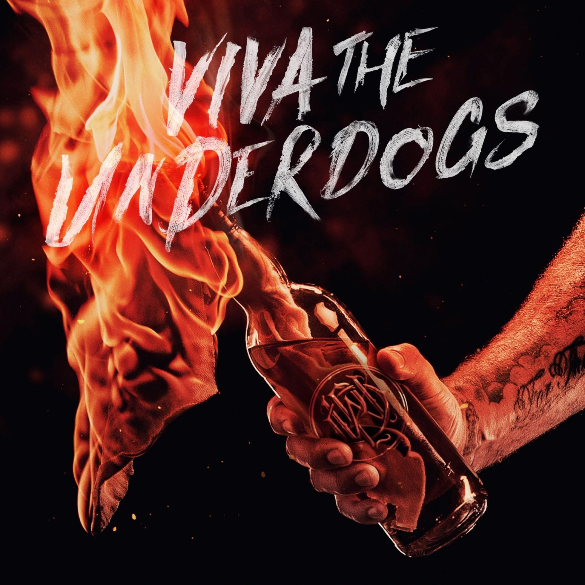 Viva the Underdogs, Parkway Drive concert film, JB Hi-Fi release, Must-watch, 2050x2050 HD Phone