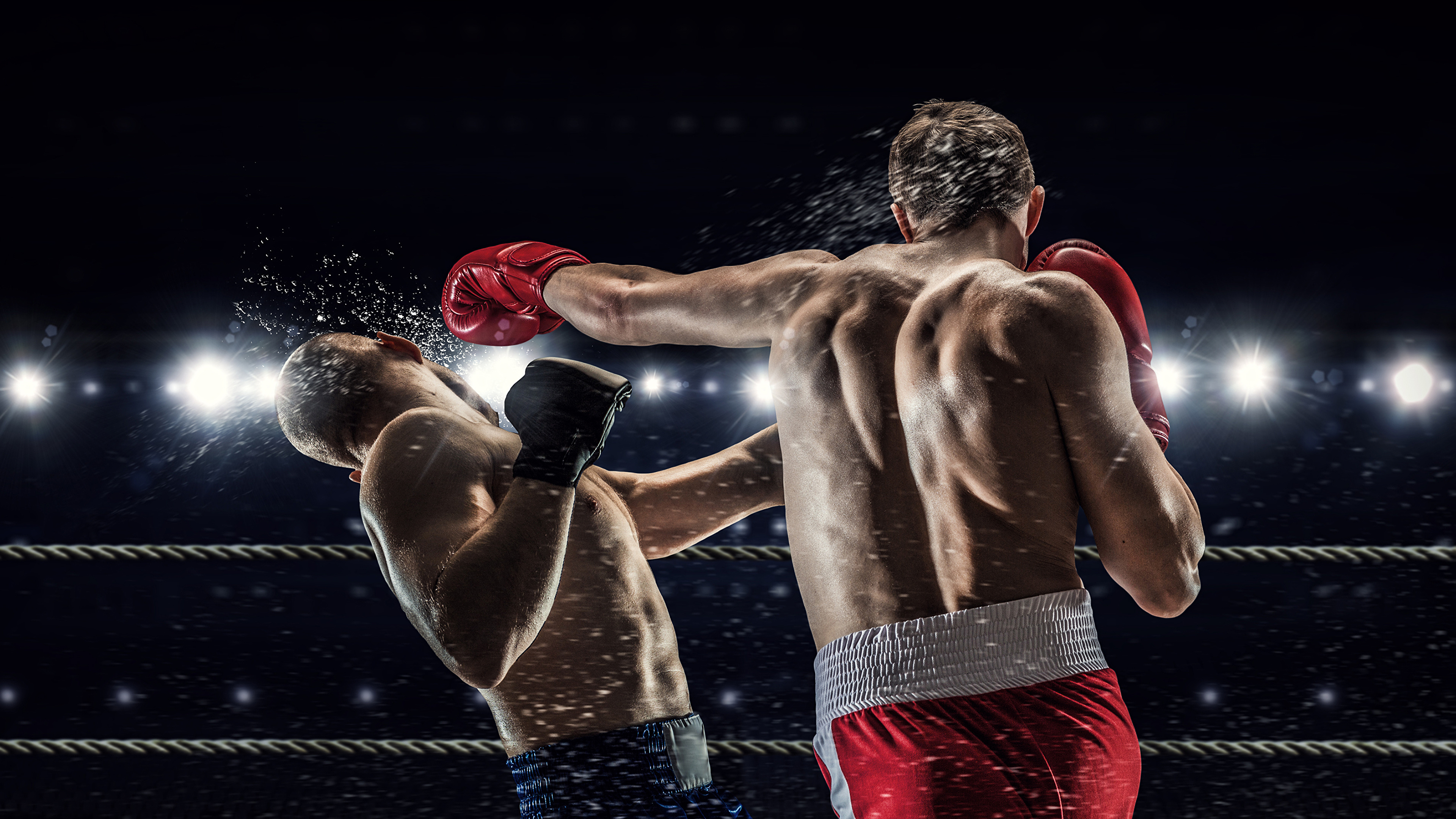 Combat Sports: Boxing Championship, World Boxing Association, Weight Divisions, Kick, Punch, IBF. 3840x2160 4K Background.