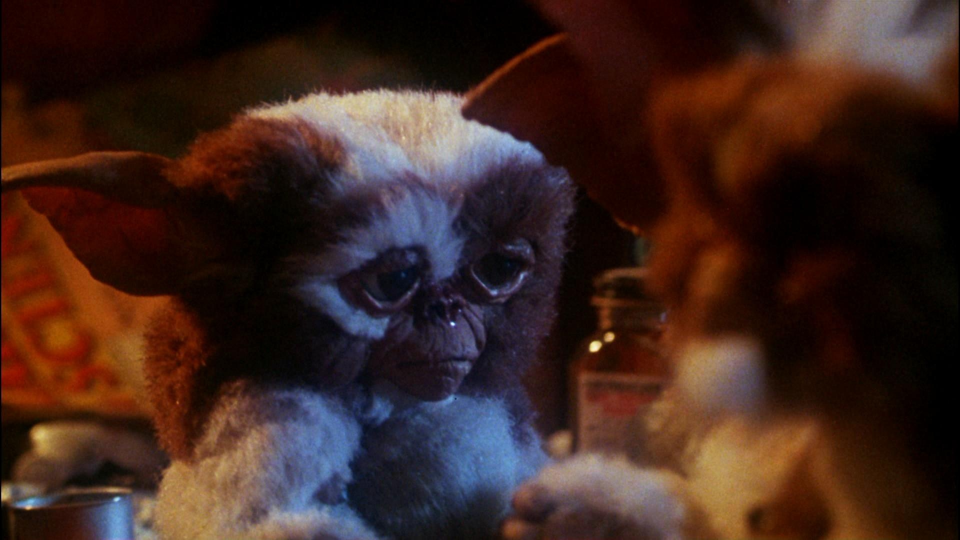 Gremlin Gizmo: Bright light can cause physical harm to the creature. 1920x1080 Full HD Wallpaper.