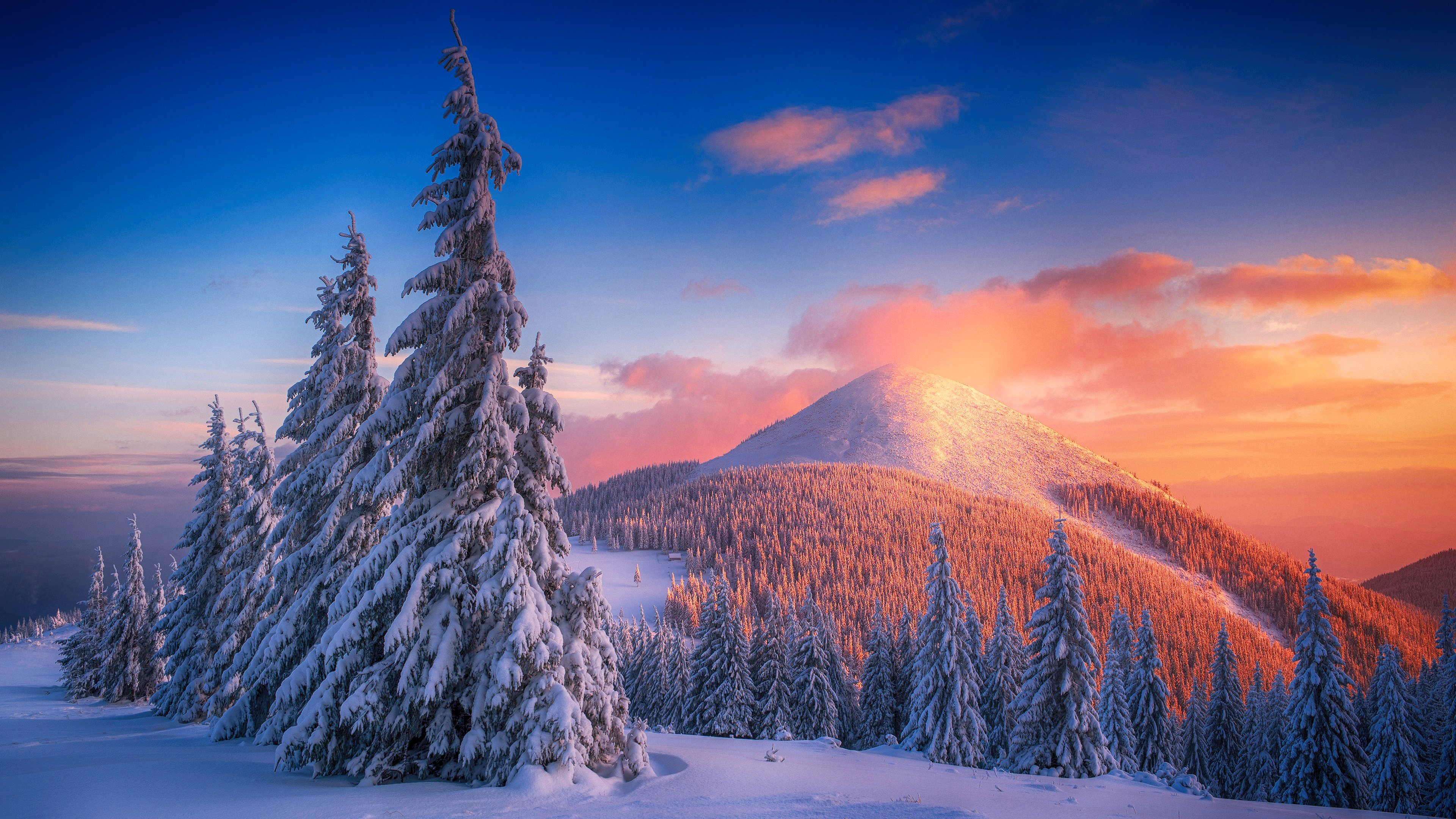 Snow, Snowy Pine Trees, Mountains, Nature Wallpapers, 3840x2160 4K Desktop