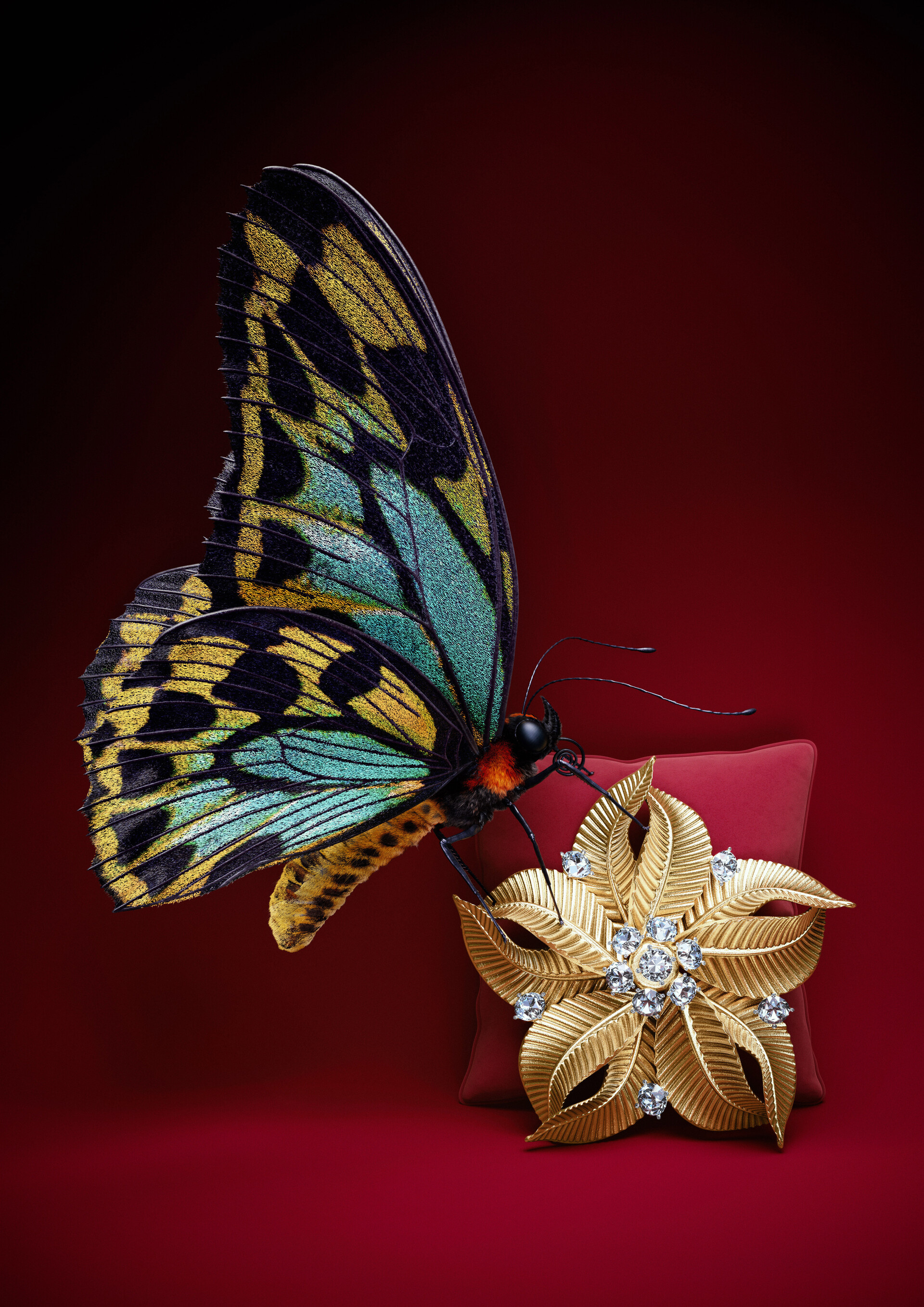 Brooch, A butterfly's touch, Diamond brooch, Art Nouveau, 1920x2720 HD Phone