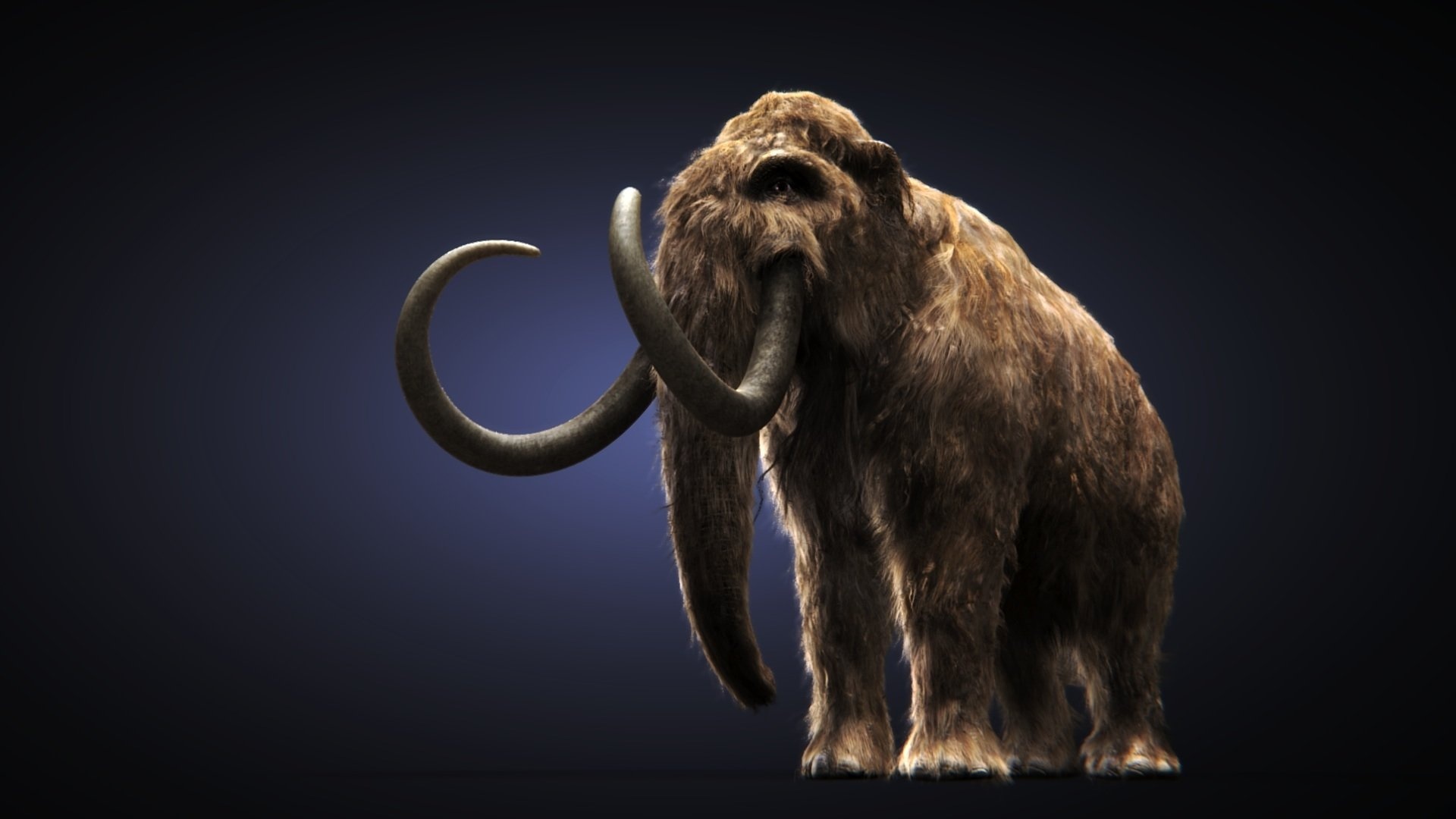 Mammoth HD wallpapers, Top free backgrounds, Mammoth scenery, HD backgrounds, 1920x1080 Full HD Desktop