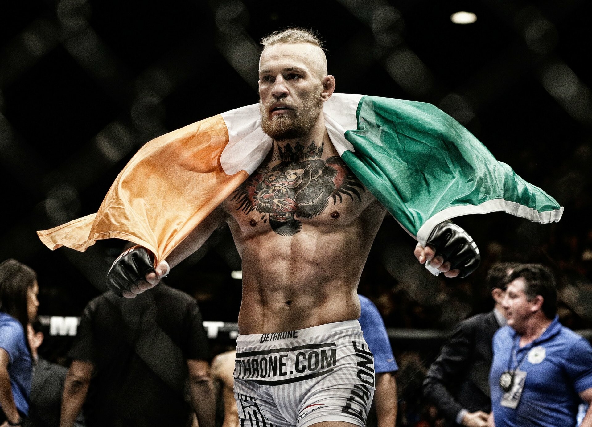 Conor McGregor: The first UFC fighter to hold knockout finishes in the featherweight, lightweight, and welterweight divisions. 1920x1390 HD Background.
