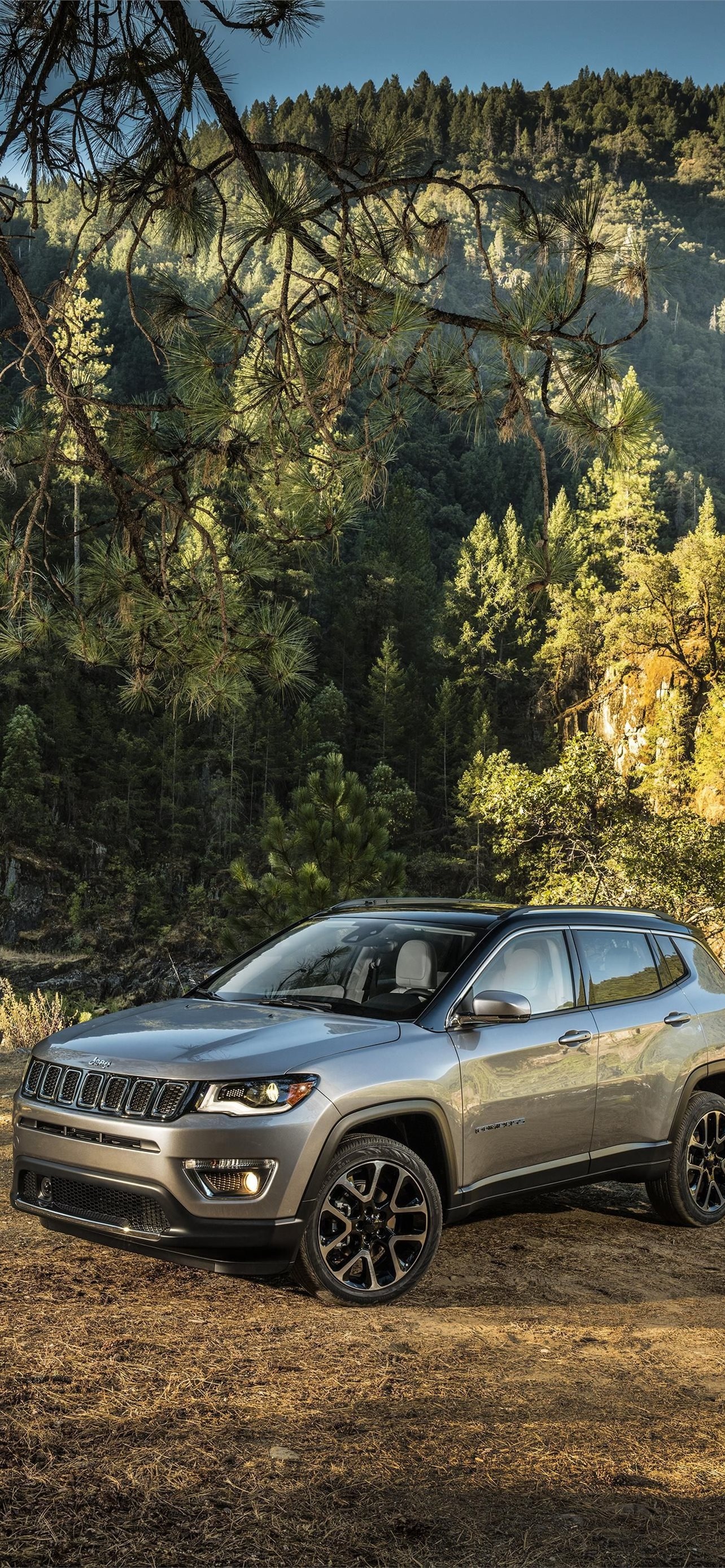 Best Jeep Compass, iPhone HD wallpapers, Auto backgrounds, Compass, 1290x2780 HD Handy