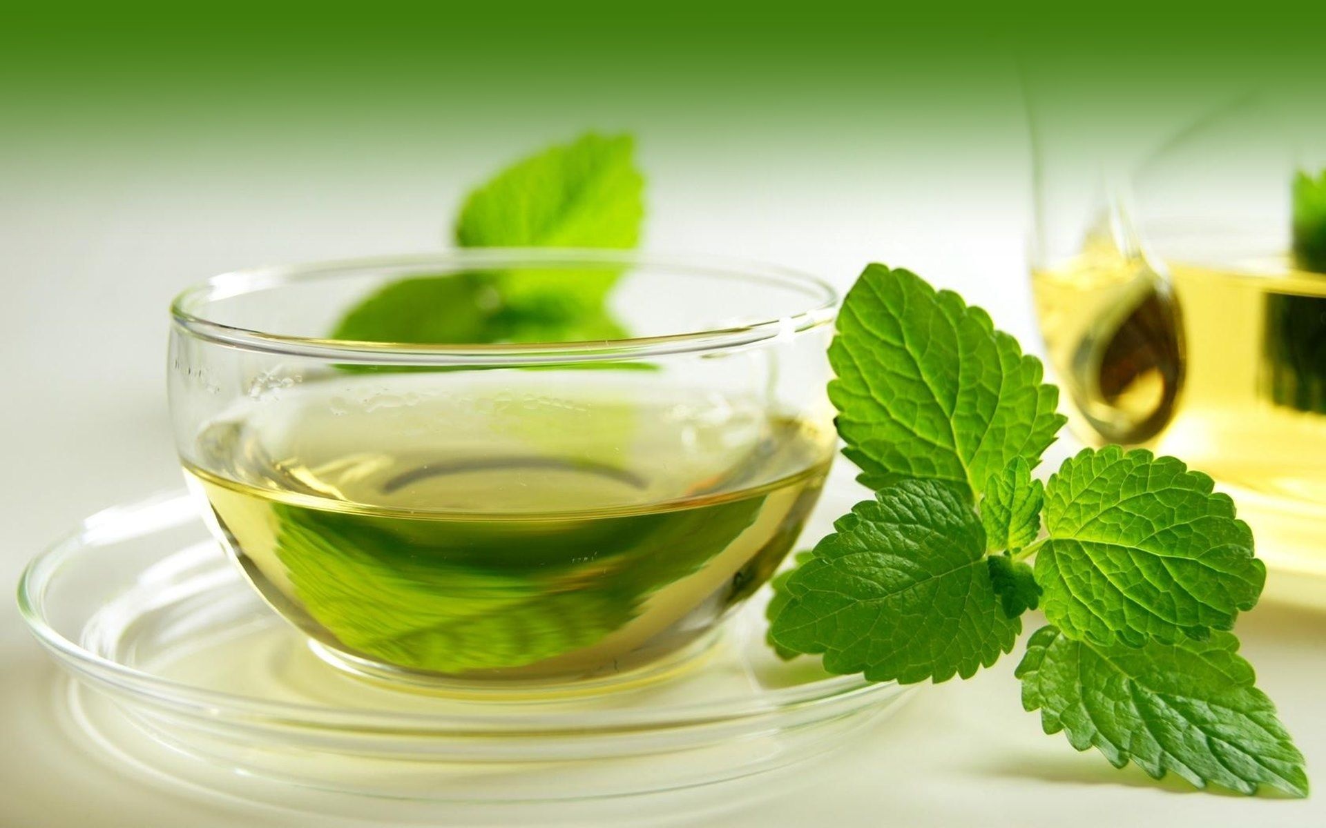 Lemon Balm, Green tea, Soothing beverage, Healthy aroma, 1920x1200 HD Desktop