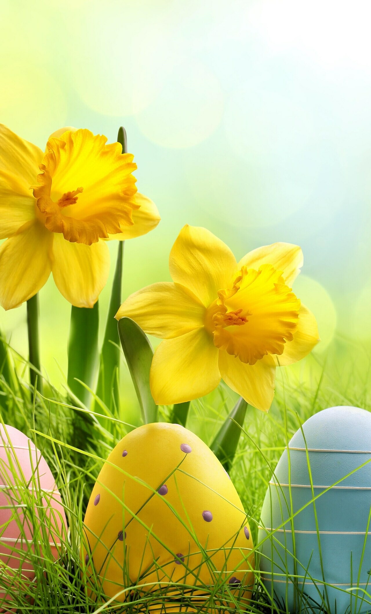 Easter: Holiday egg, The holiday falls between March 22nd and April 25th. 1280x2120 HD Background.