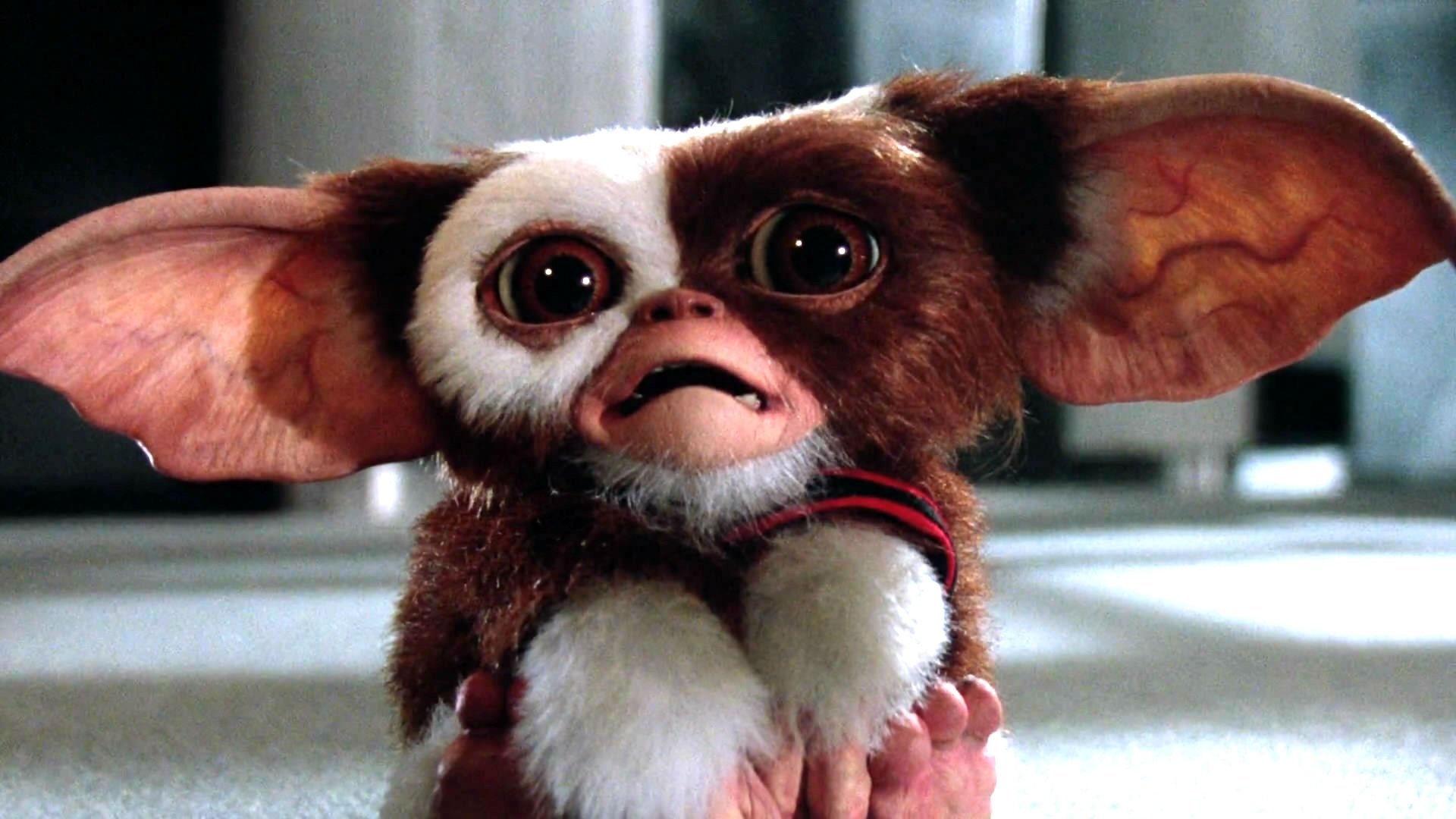 Gremlin: The adventures of Gizmo, who spawns numerous small monsters when wet. 1920x1080 Full HD Background.