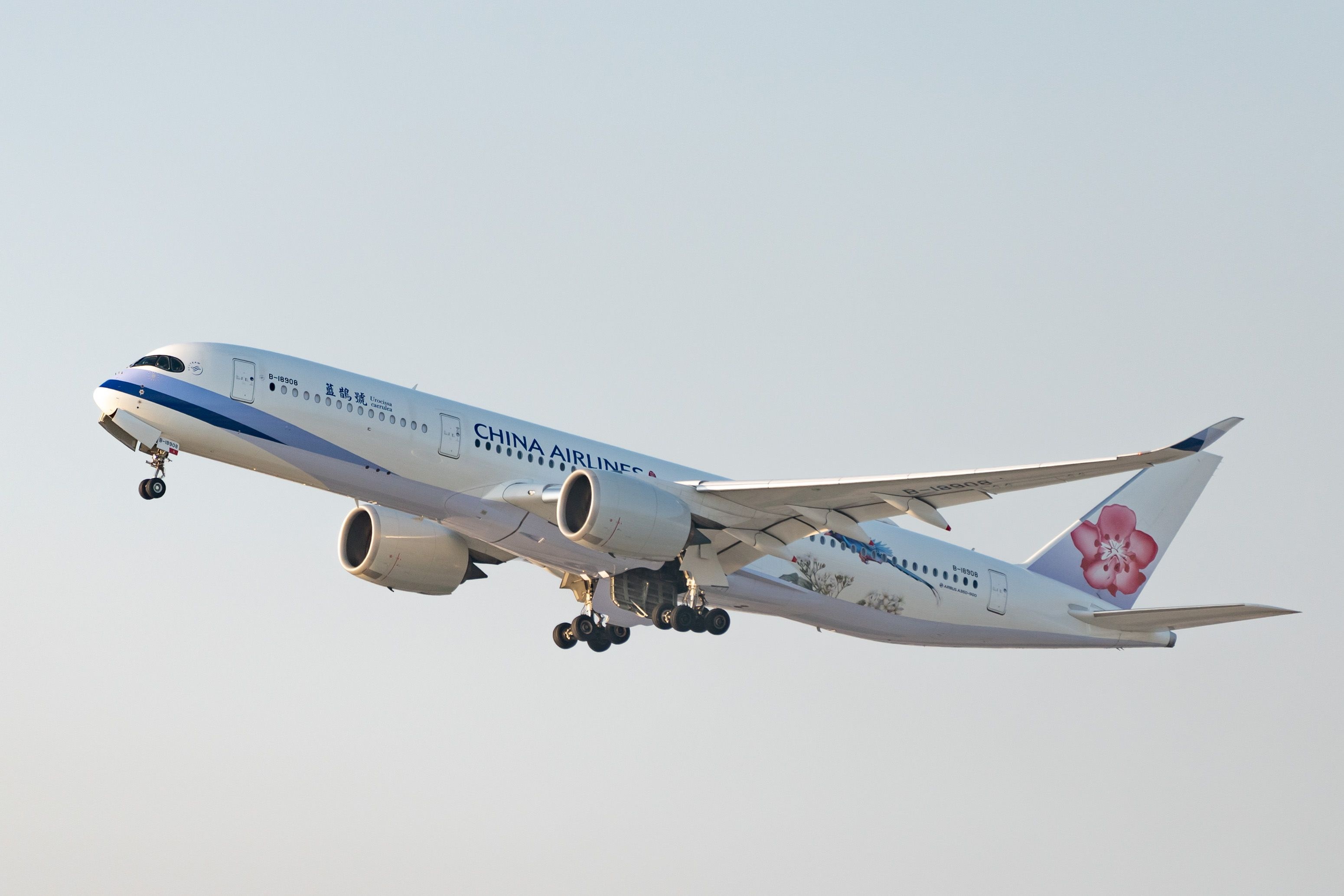China Airlines, Travels, sustainable flight, to Singapore, 3100x2070 HD Desktop