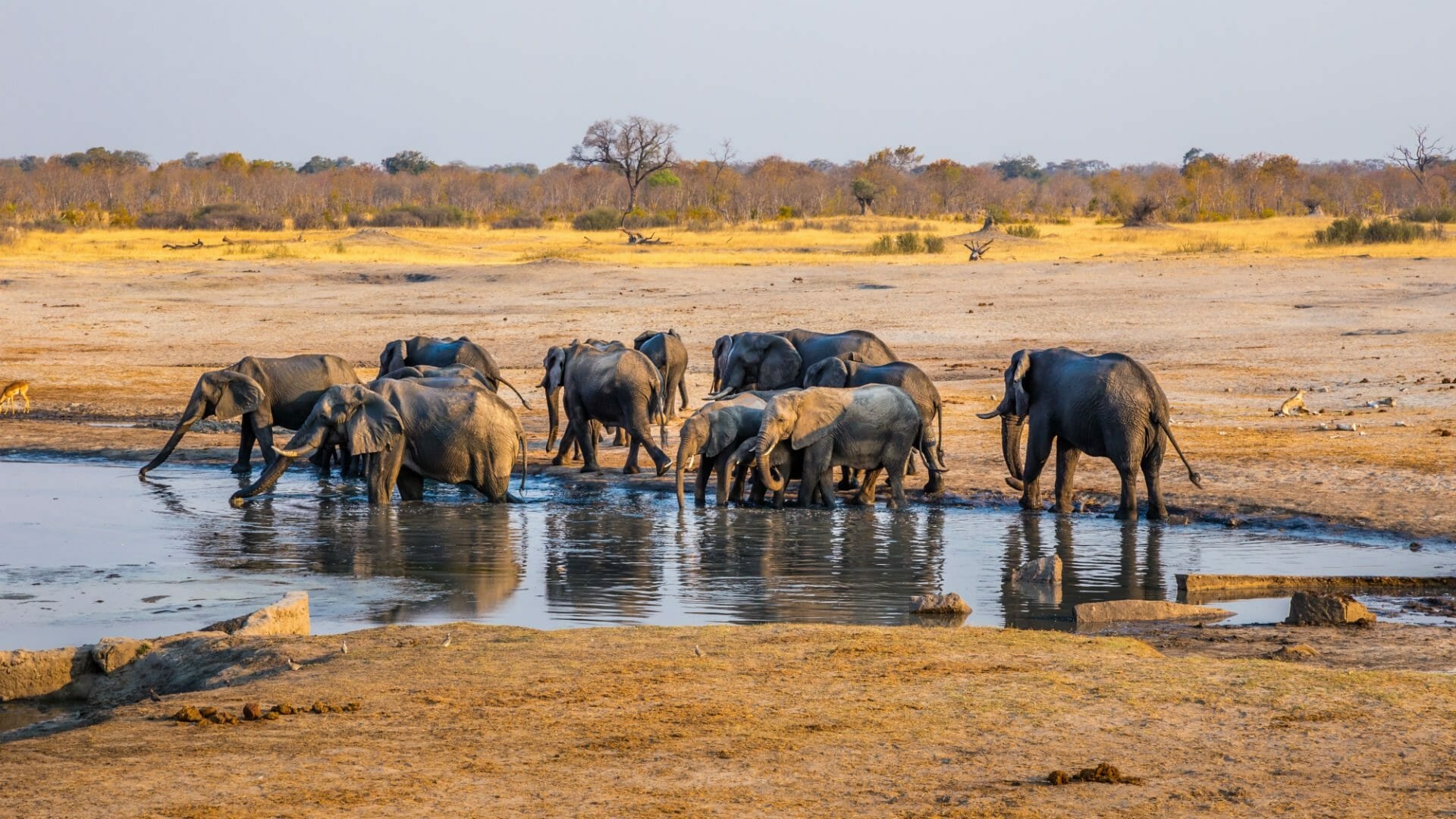 Hwange Zimbabwe, African wilderness, Wildlife sanctuary, Exotic landscapes, 1920x1080 Full HD Desktop