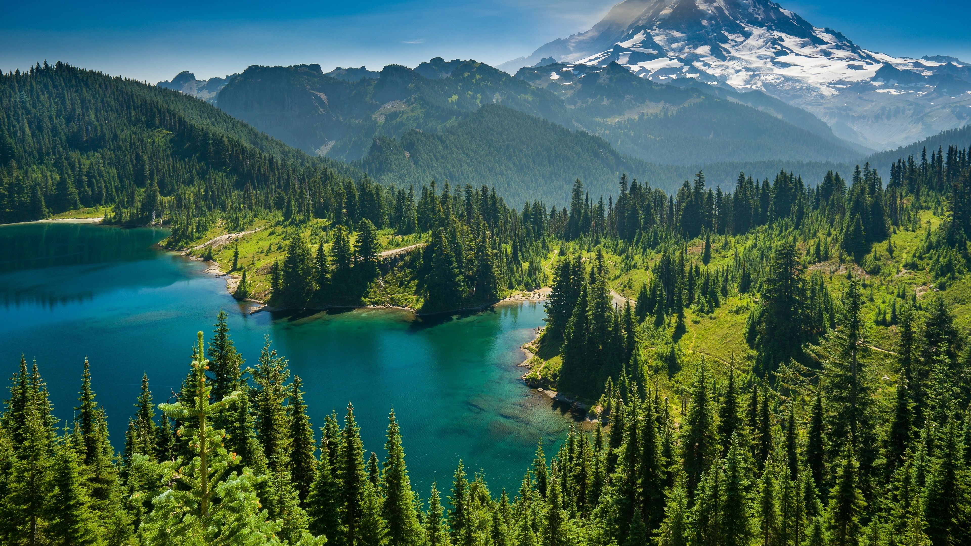 Washington State Travels - National forest, 4K backgrounds, 3840x2160 4K Desktop