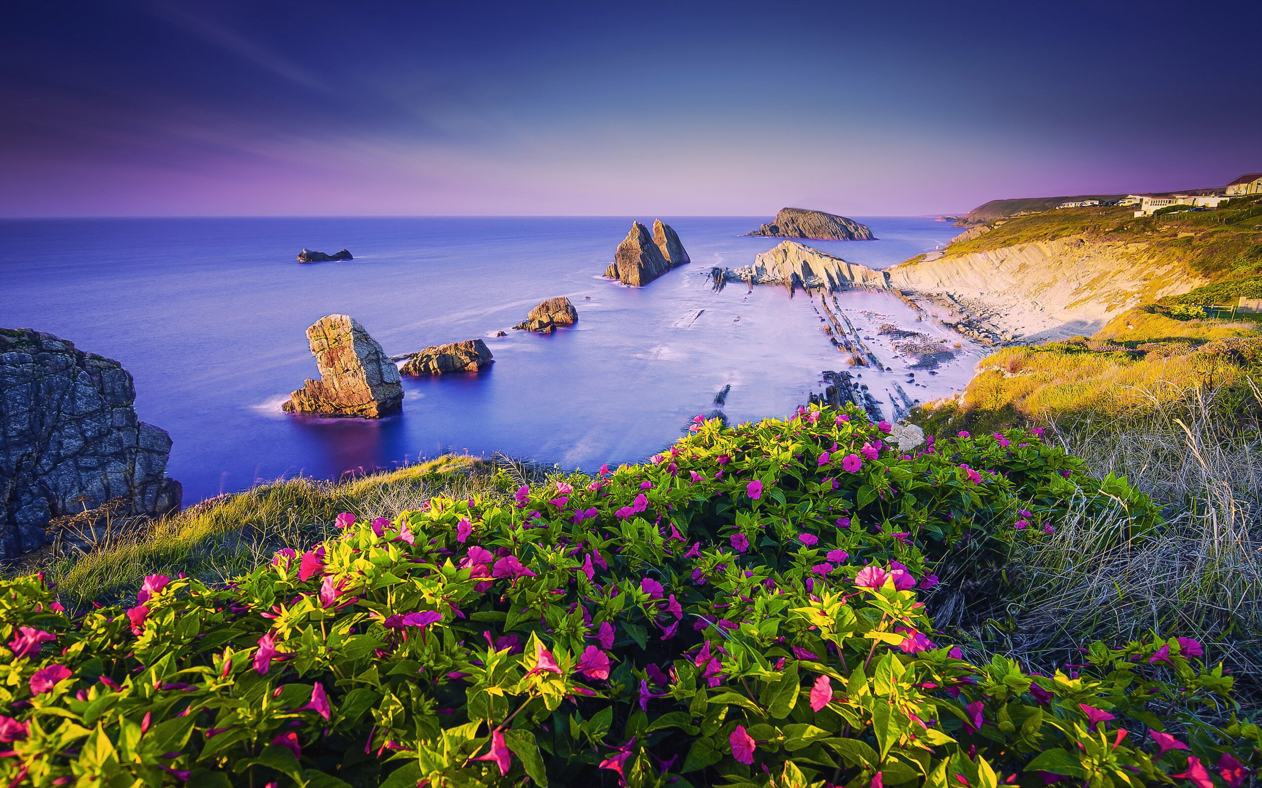 Spain: Costa Quebrada In Cantabria, Ocean, Flowers, Coast. 2560x1600 HD Wallpaper.