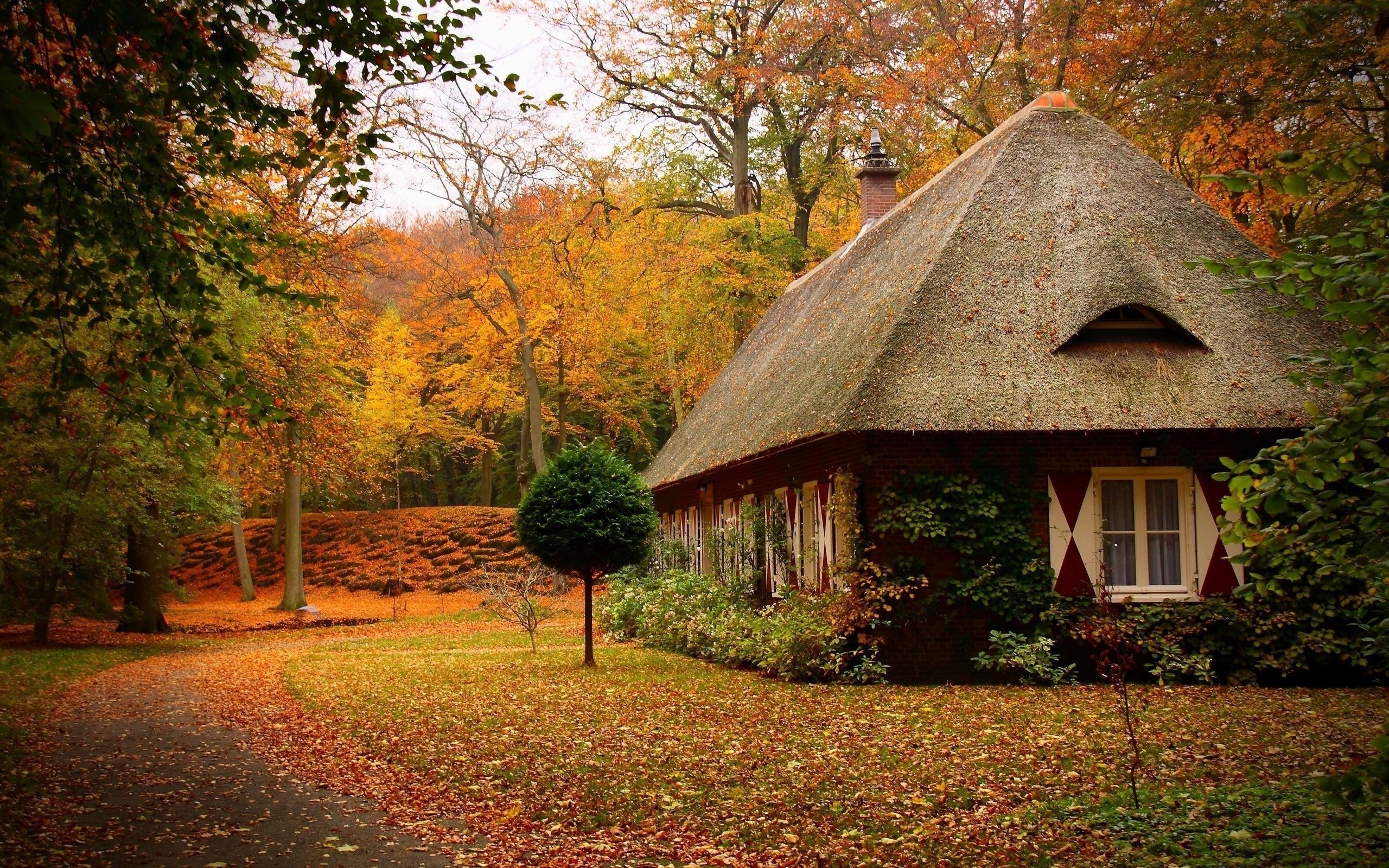 Country home wallpapers, Cozy charm, Rural landscapes, Serene atmosphere, 2560x1600 HD Desktop