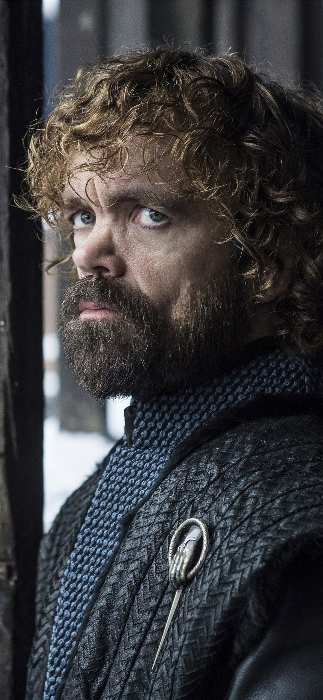 Peter Dinklage, Best wallpapers, iPhone, High definition, 1290x2780 HD Phone