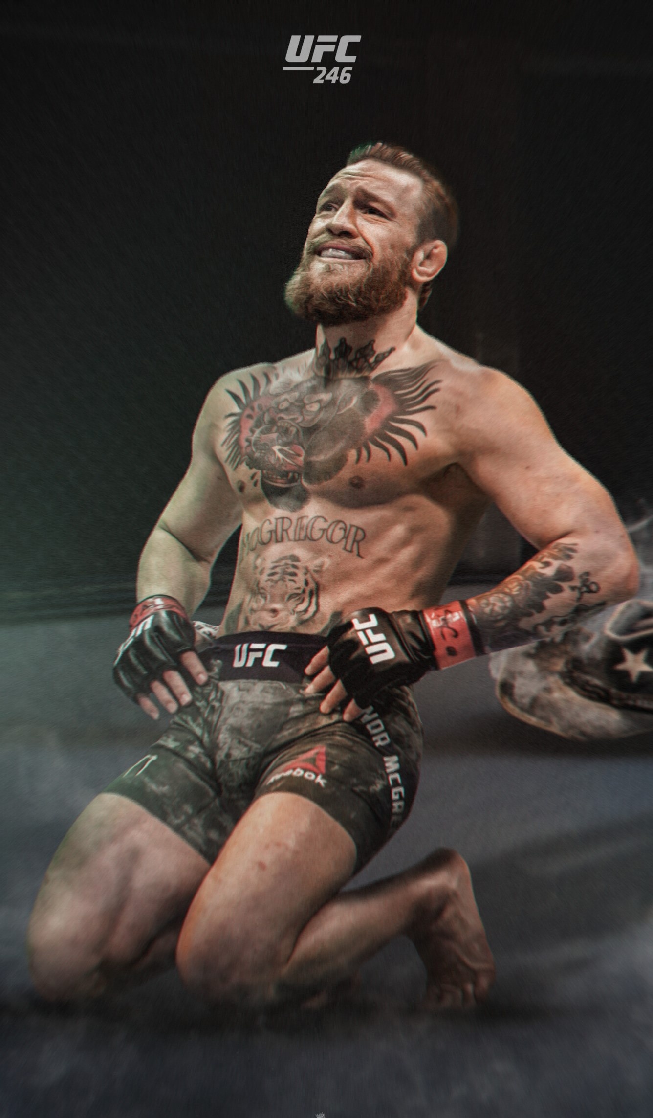 Mixed Martial Arts: UFC 246: McGregor vs. Cowboy, An MMA event produced by the Ultimate Fighting Championship. 1340x2290 HD Background.
