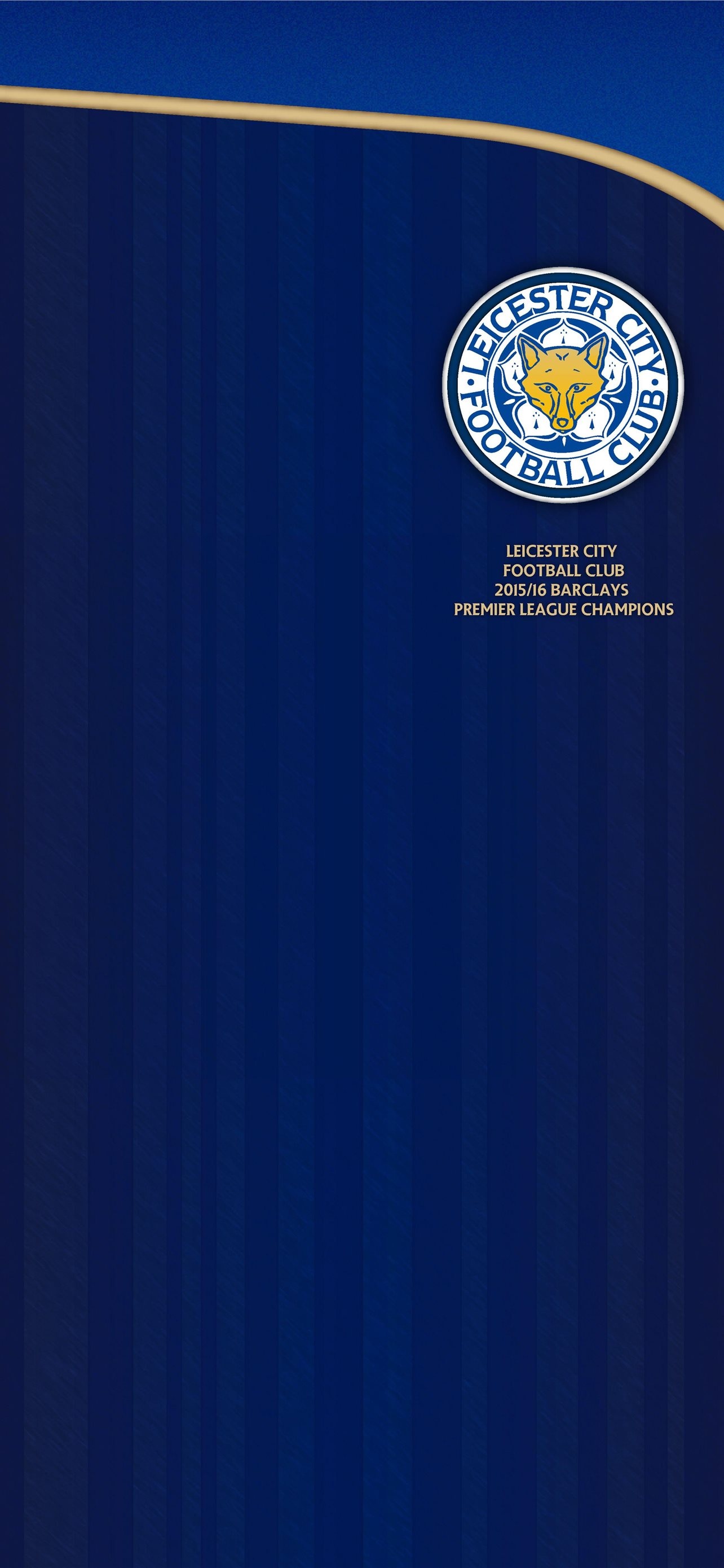 Leicester City, Best quality iPhone wallpapers, Foxes pride, 1290x2780 HD Handy
