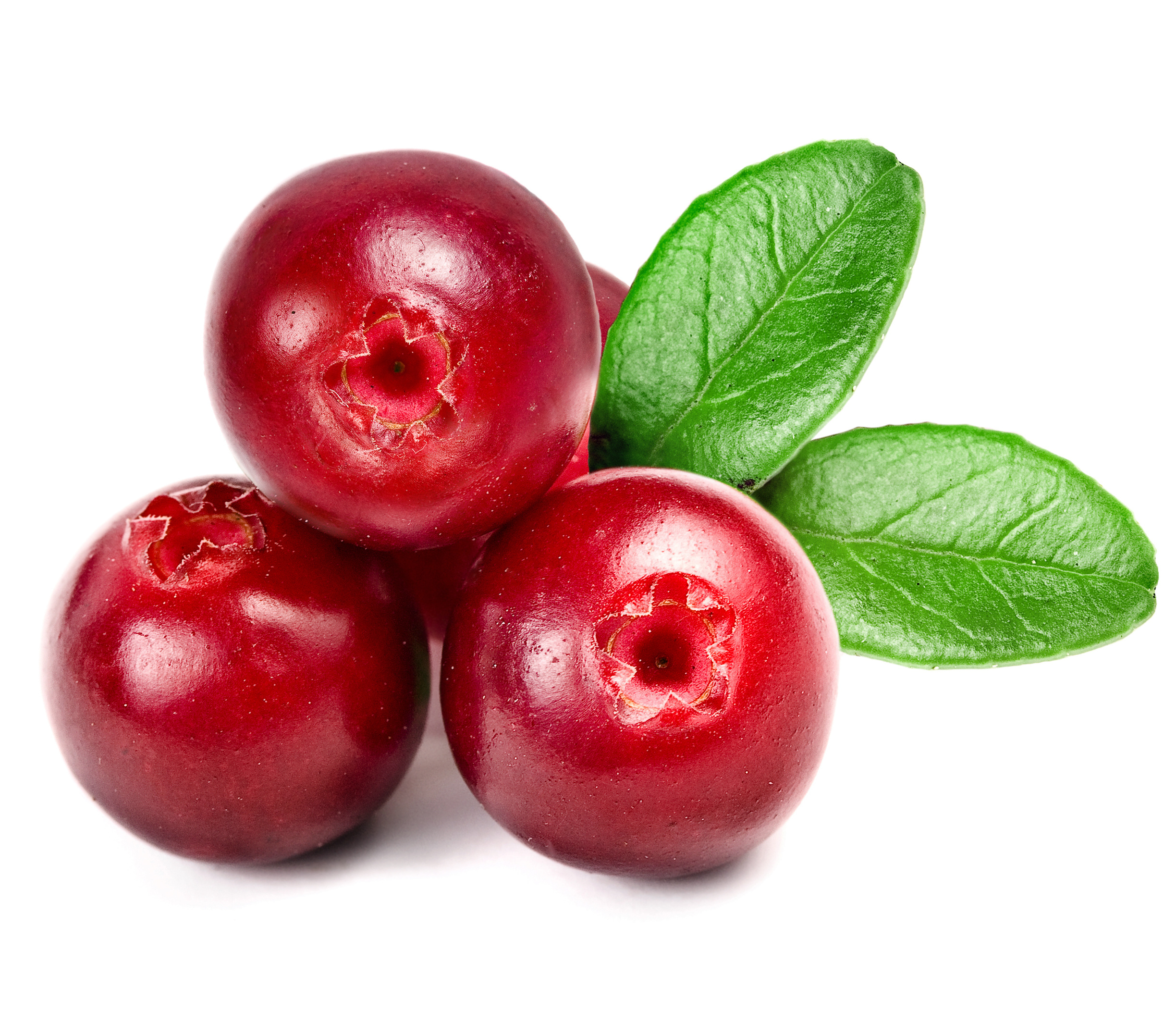 Latest food wallpapers, Cranberry edition, HD quality, Visual feast, 2450x2110 HD Desktop