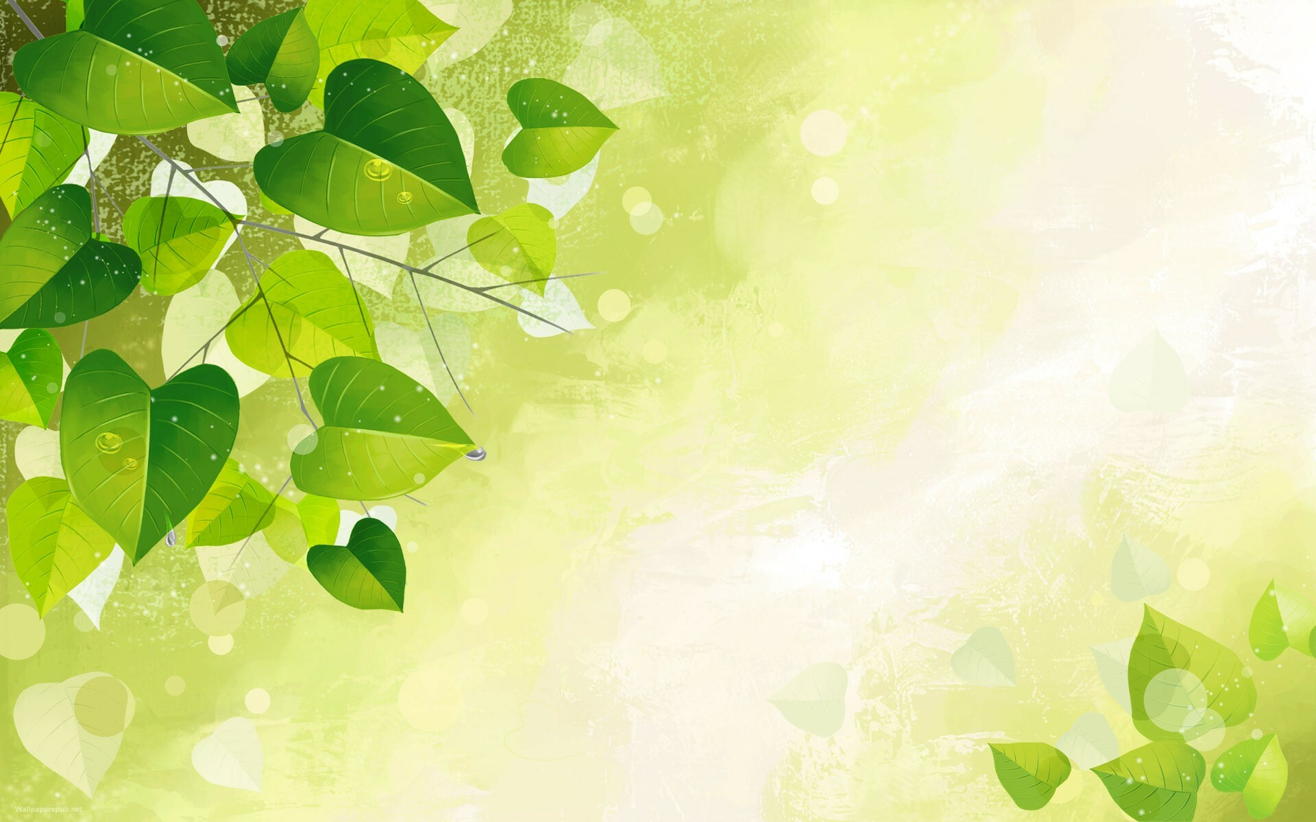 Leaf: Organs that help the plants exchange gases in the atmosphere. 1920x1200 HD Wallpaper.