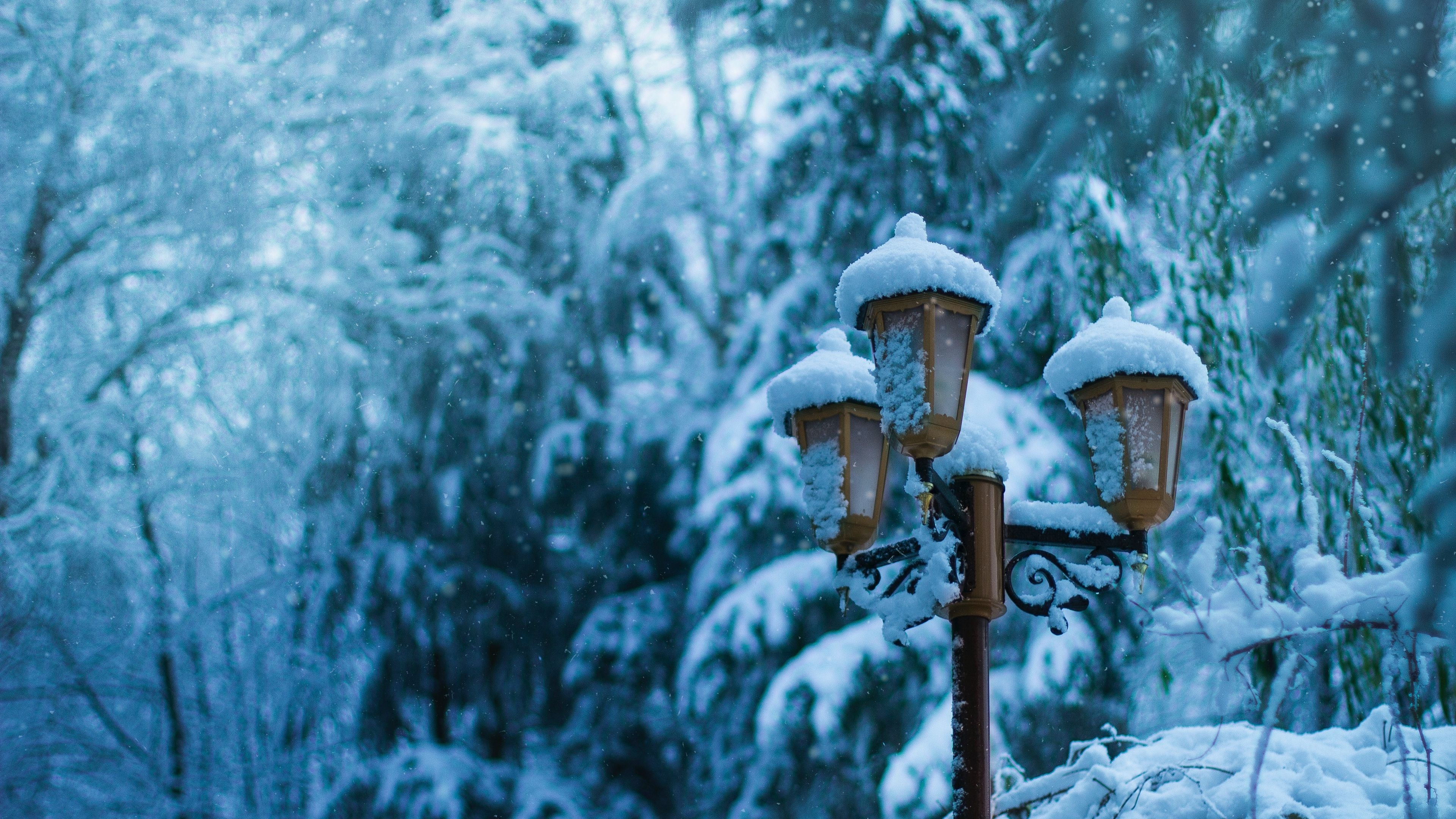 Snow, Winter scenery, Frozen wonderland, Serene nature, 3840x2160 4K Desktop