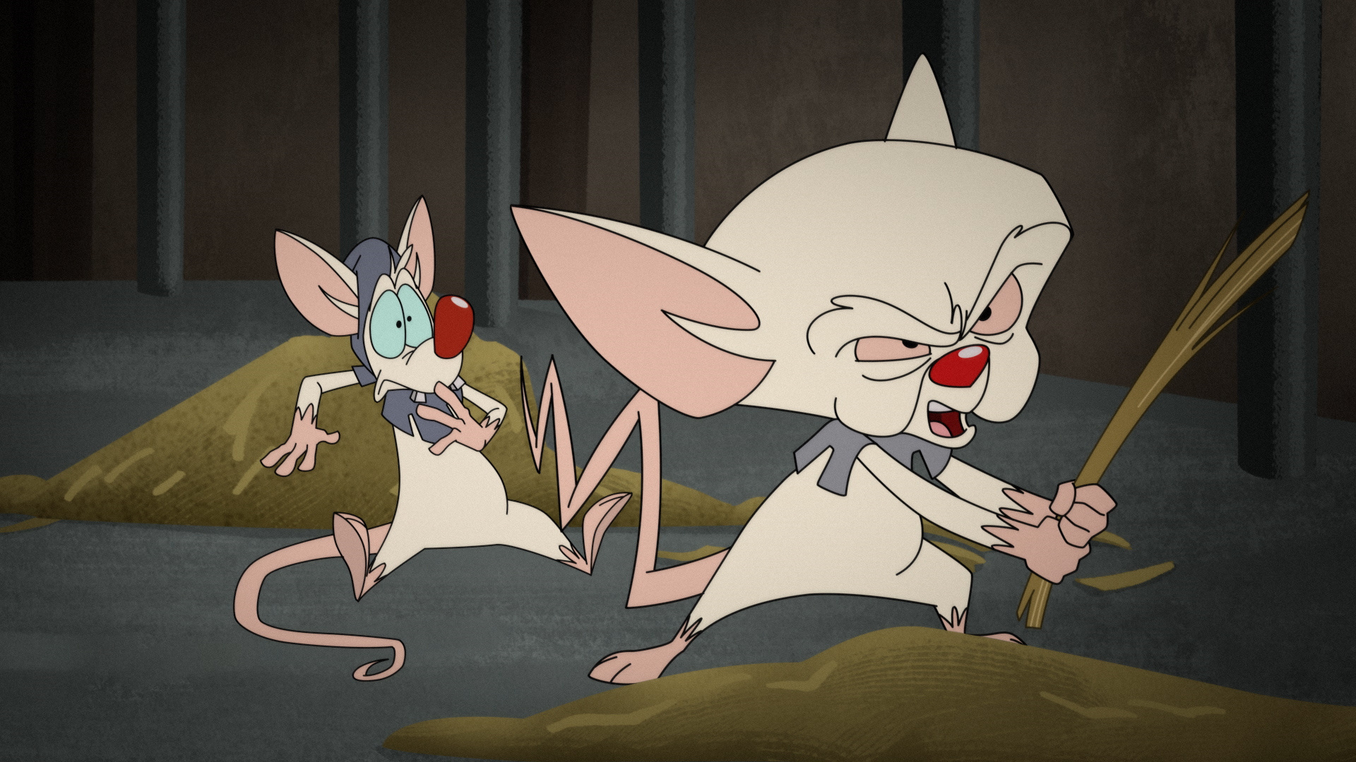 Voices behind Pinky and the Brain, Maurice LaMarche, Canadian voice actor, Character analysis, 1920x1080 Full HD Desktop