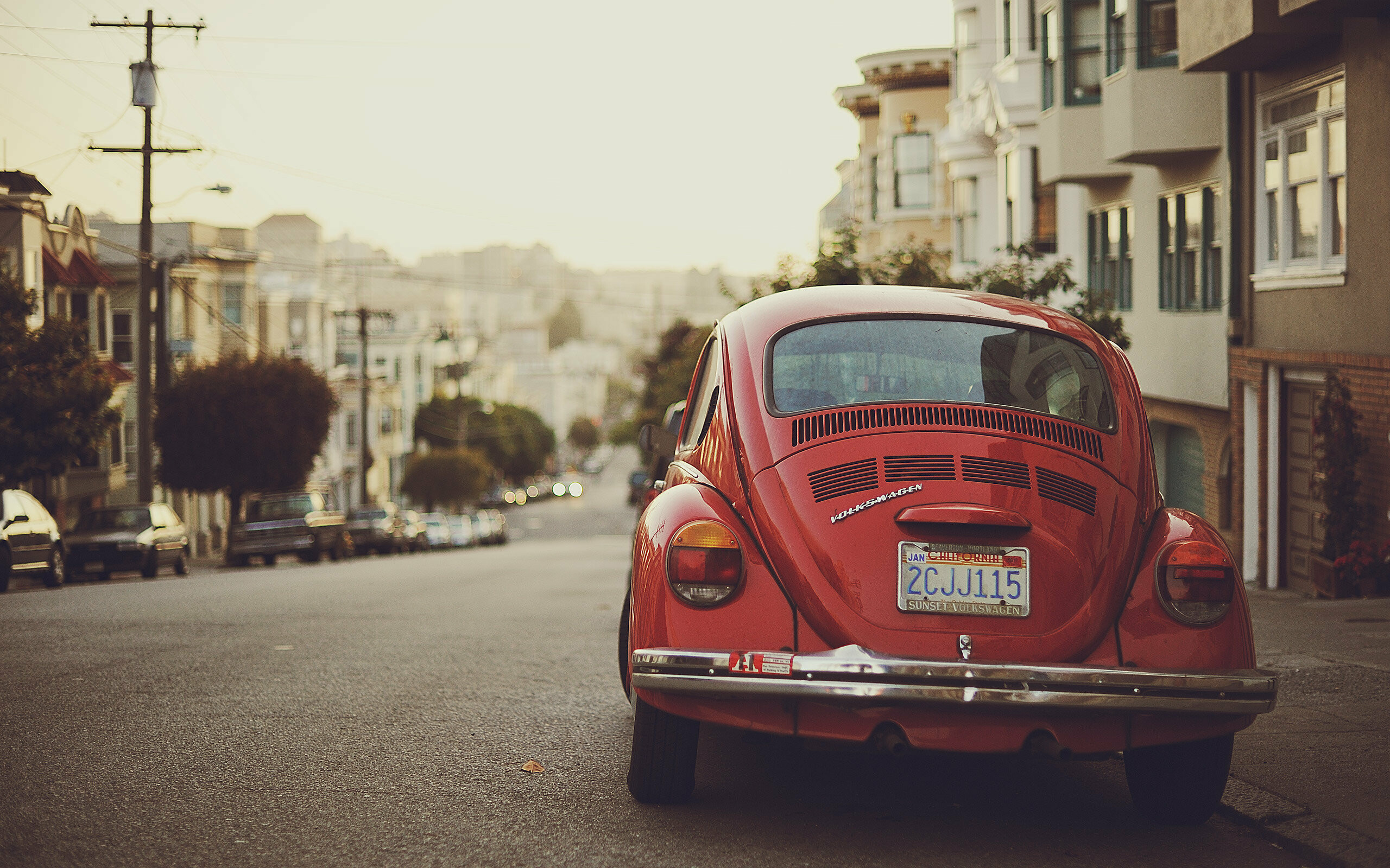 Volkswagen: A major German automobile manufacturer, Founded in 1937, Beetle. 2560x1600 HD Background.