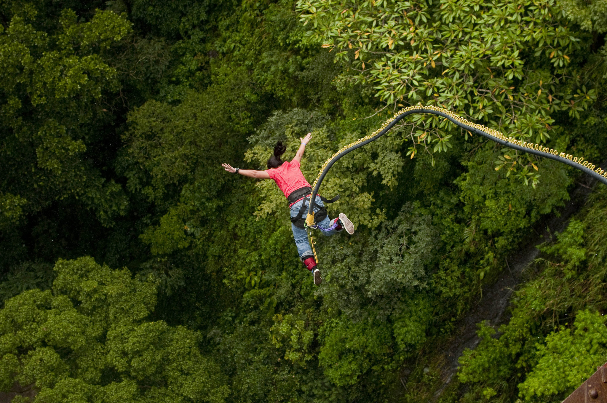 Bungee Jumping: Extreme activity in Rishikesh forest, The foothills of the Himalayas in northern India. 2050x1360 HD Wallpaper.