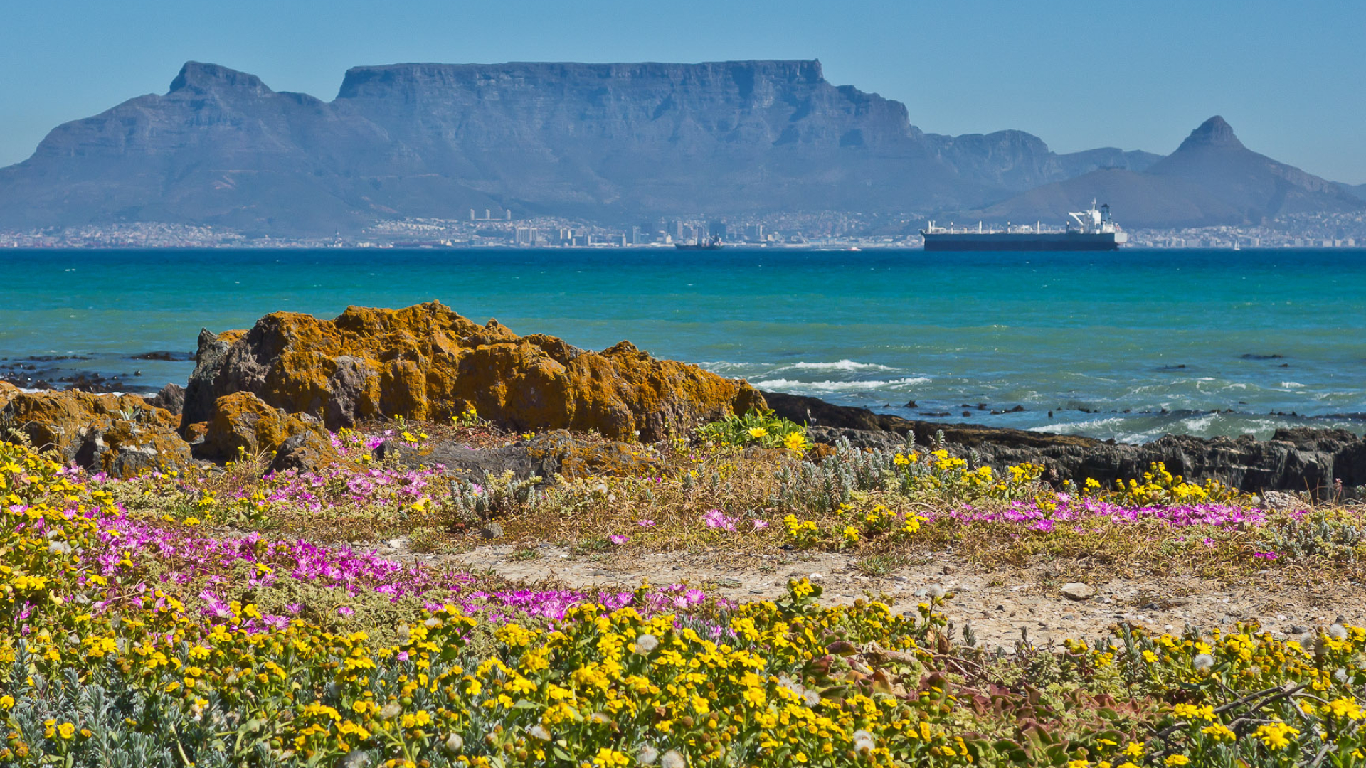 Table Mountain, Spring in Cape Town, Captivating photos, South Africa beauty, 1920x1080 Full HD Desktop