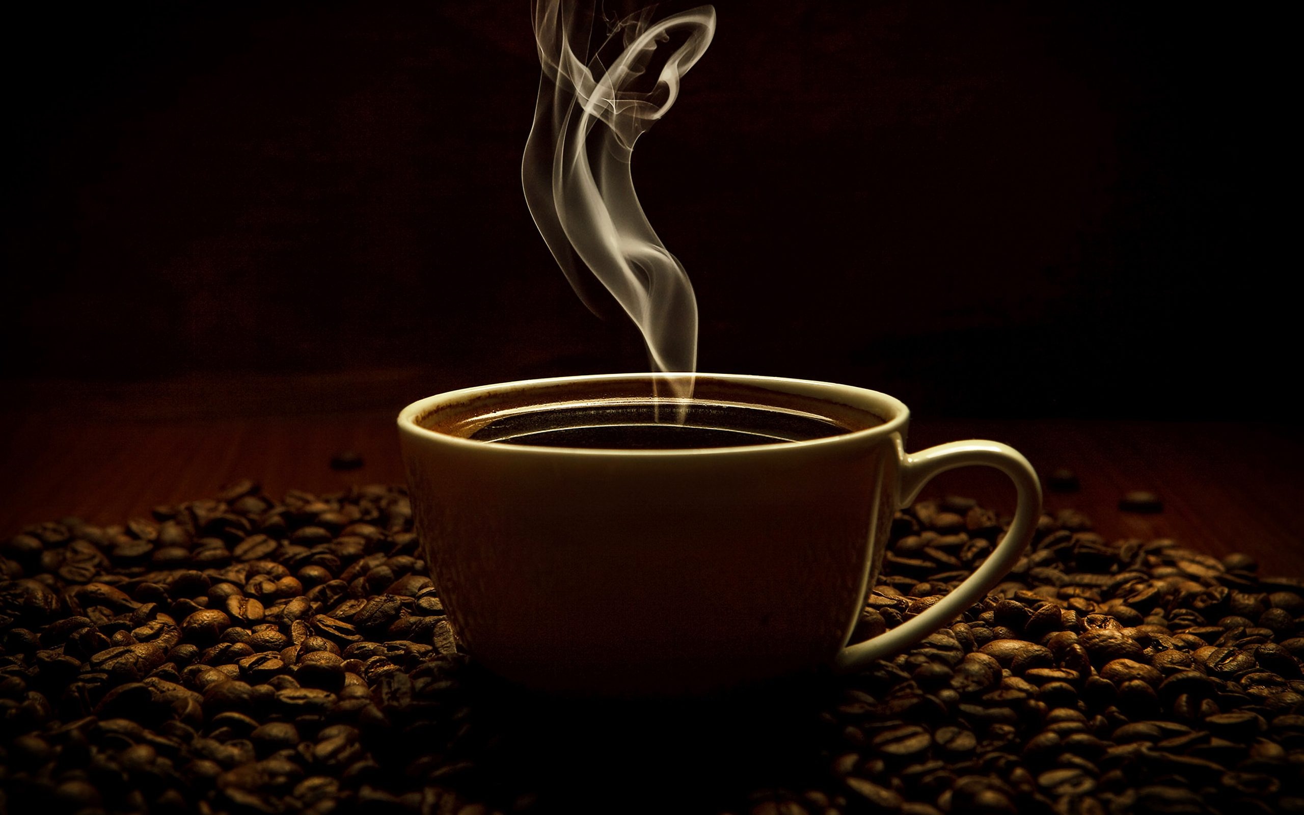 Coffee cup, Beverage accessory, Drink refreshment, Dark background, 2560x1600 HD Desktop