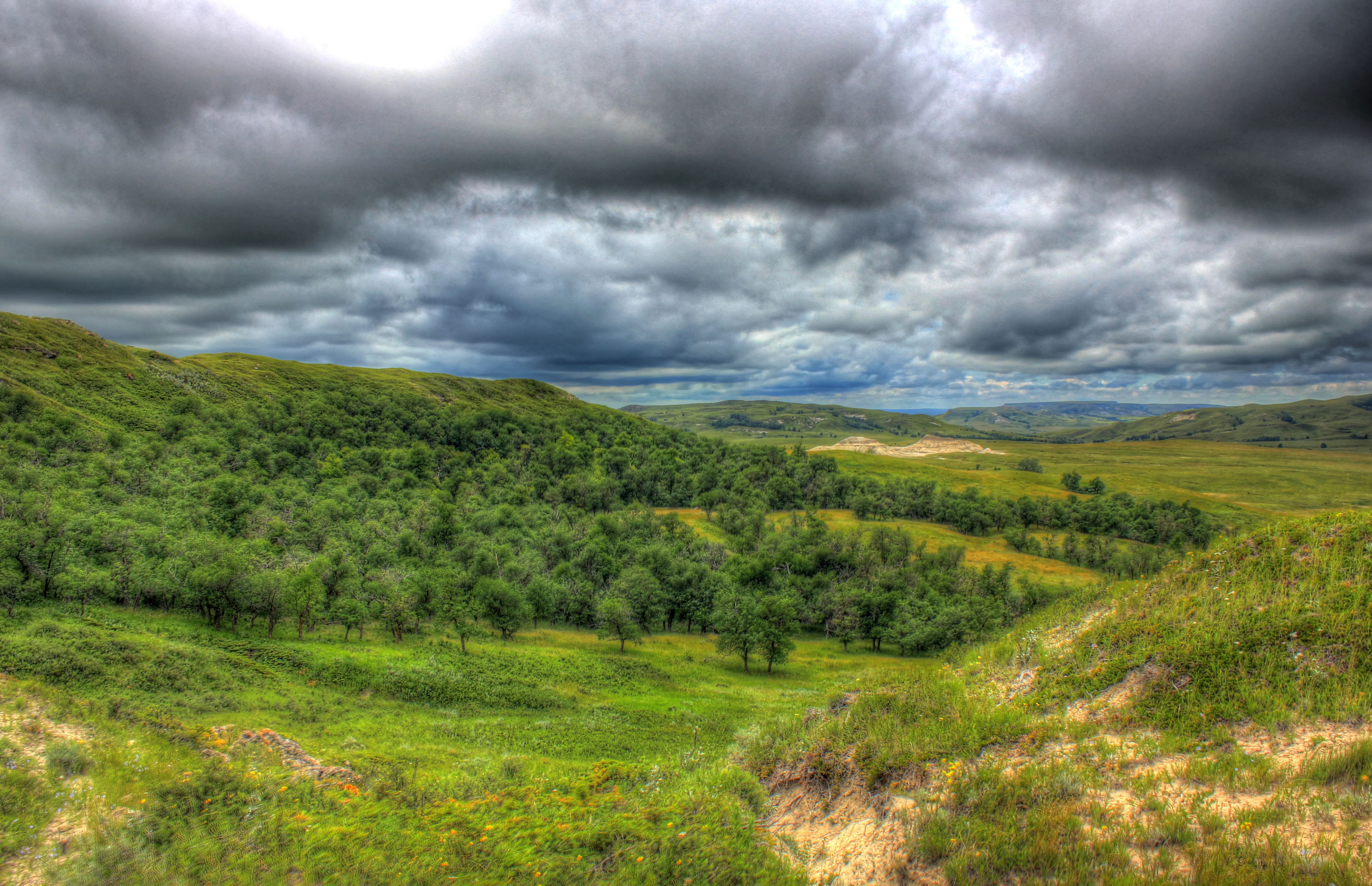 North Dakota, Forest, Landscape, White Butte, 3330x2150 HD Desktop