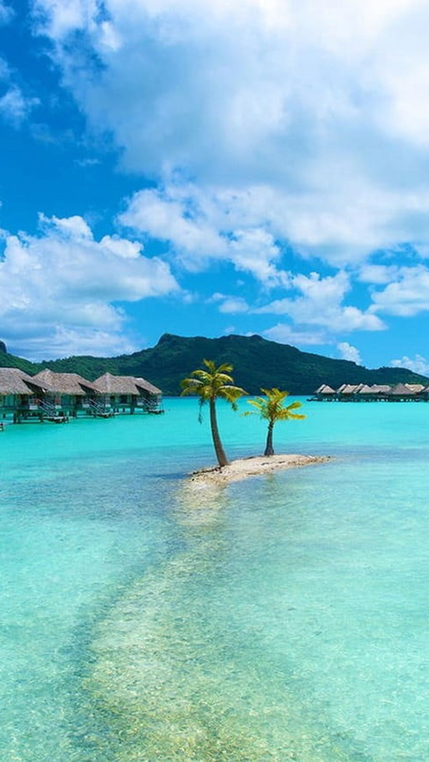 Bora Bora: Holiday destinations, Palm trees, Tropical landscape. 1440x2560 HD Background.