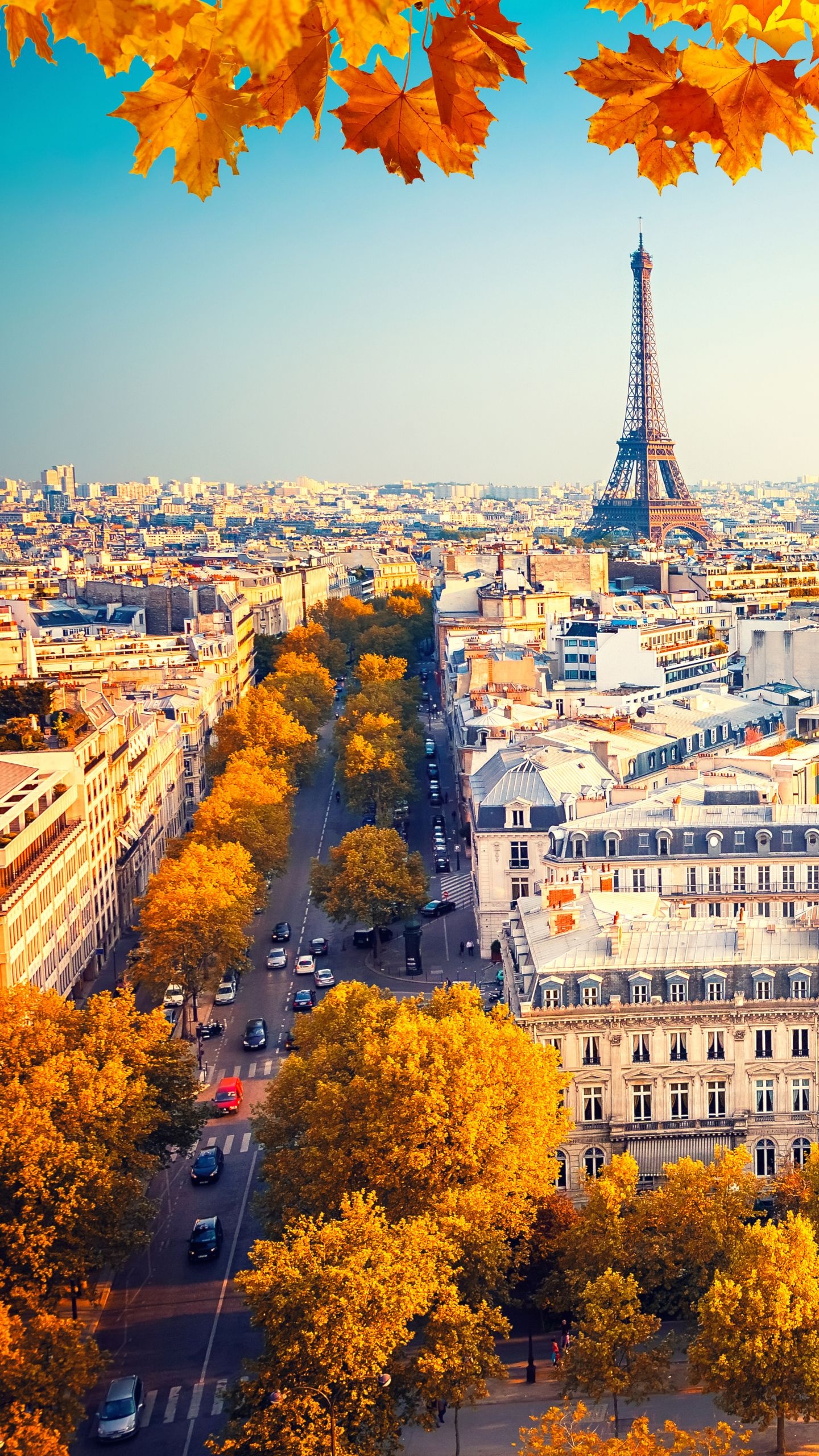 Paris: Nicknamed the "City of light", The capital city of France. 1440x2560 HD Wallpaper.