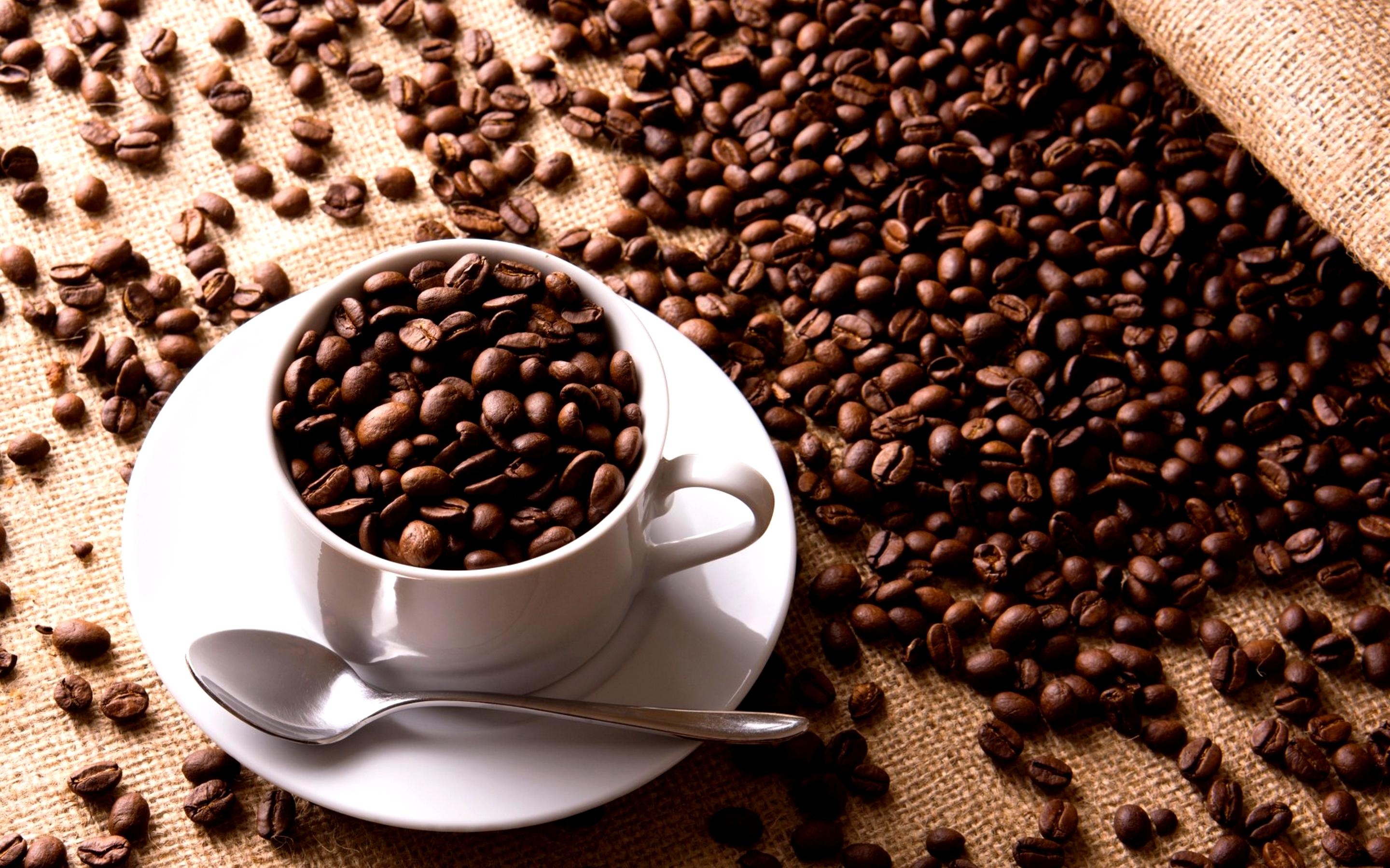 Coffee beans HD, Coffee beans wallpaper, Coffee beans, Wallpaper, 2880x1800 HD Desktop