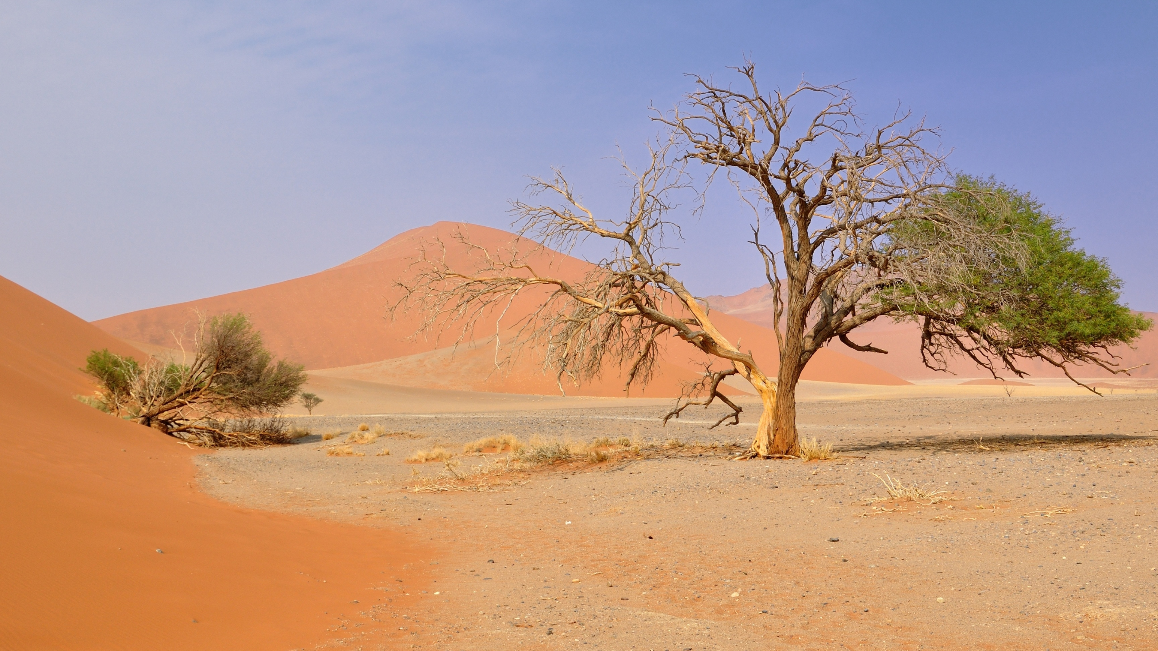 Namib Desert, Nature's masterpiece, Sandy landscapes, Epic wilderness, 3840x2160 4K Desktop
